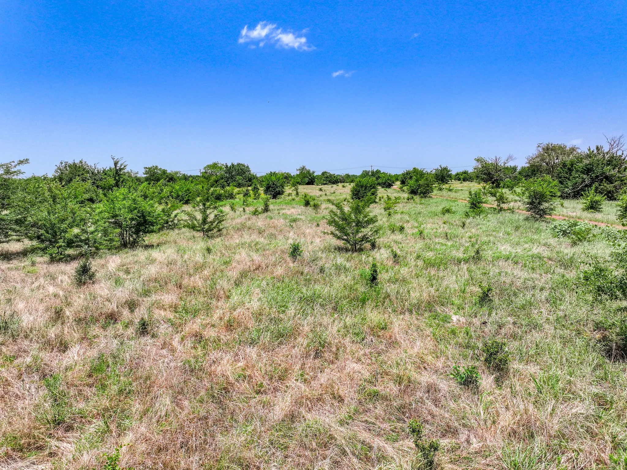 Unimproved Land For Sale in Franklin (TX) County , 0000 W Farm Rd 71 Highway, Talco, Texas 75487, 0, 0, Garage spaces, 0 Sqft, built in 0, mls#21345434, Real Estate Agent in Talco, Homes For Sale in Franklin (TX) county, Homes For Sale in Talco, Realtor in Talco Texas, Real Estate Brokerage Independent Realty Texas, Luminita Cordes Realtor