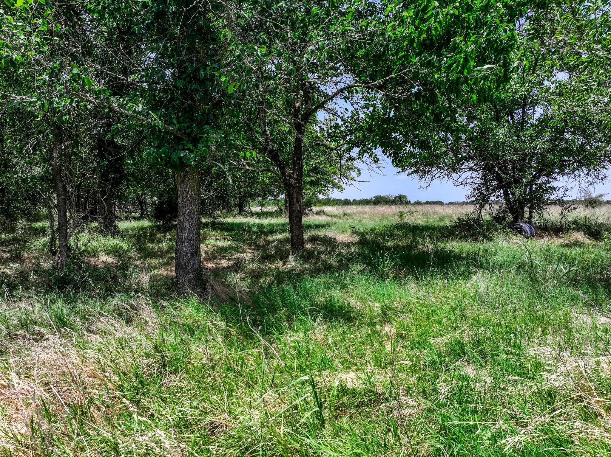 Unimproved Land For Sale in Franklin (TX) County , 0000 W Farm Rd 71 Highway, Talco, Texas 75487, 0, 0, Garage spaces, 0 Sqft, built in 0, mls#21345434, Real Estate Agent in Talco, Homes For Sale in Franklin (TX) county, Homes For Sale in Talco, Realtor in Talco Texas, Real Estate Brokerage Independent Realty Texas, Luminita Cordes Realtor