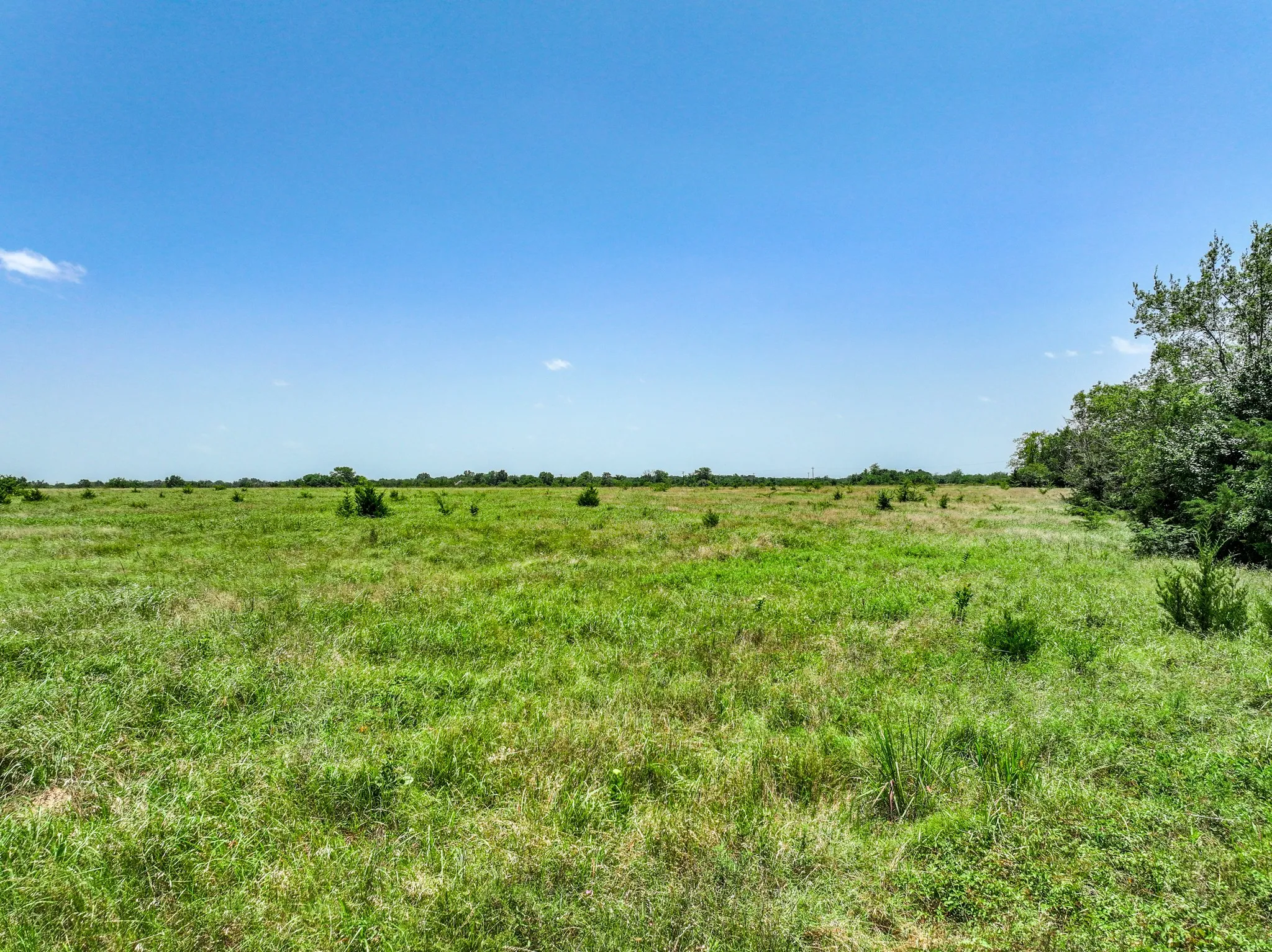 Unimproved Land For Sale in Franklin (TX) County , 0000 W Farm Rd 71 Highway, Talco, Texas 75487, 0, 0, Garage spaces, 0 Sqft, built in 0, mls#21345434, Real Estate Agent in Talco, Homes For Sale in Franklin (TX) county, Homes For Sale in Talco, Realtor in Talco Texas, Real Estate Brokerage Independent Realty Texas, Luminita Cordes Realtor