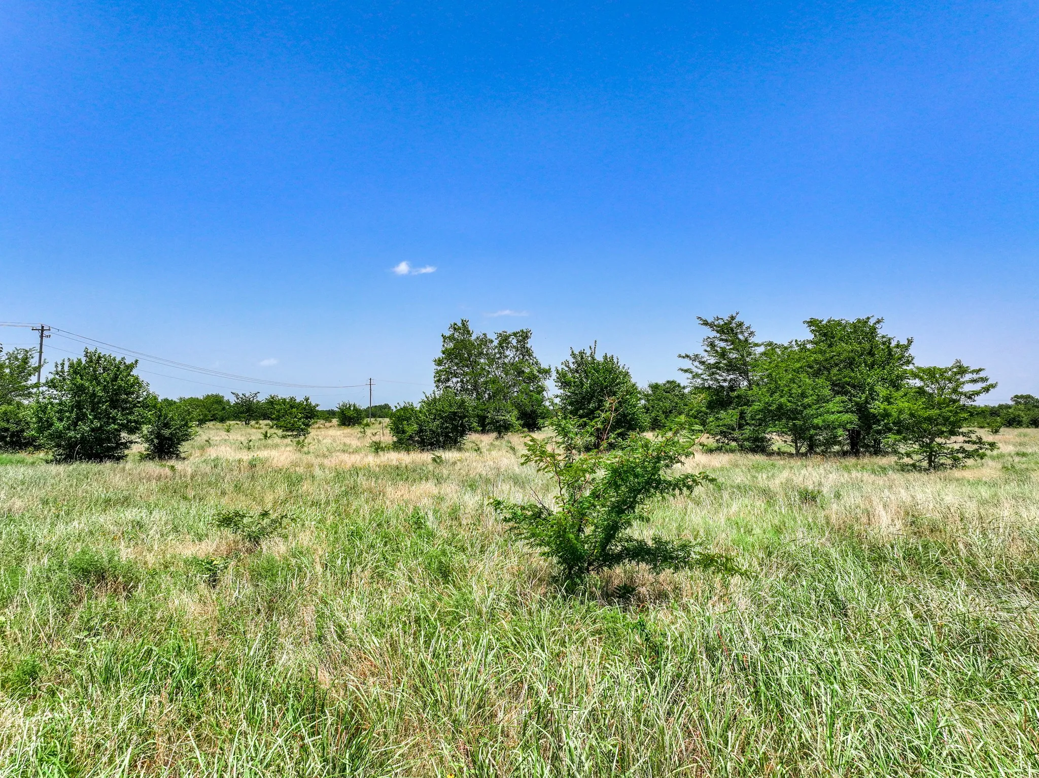 Unimproved Land For Sale in Franklin (TX) County , 0000 W Farm Rd 71 Highway, Talco, Texas 75487, 0, 0, Garage spaces, 0 Sqft, built in 0, mls#21345434, Real Estate Agent in Talco, Homes For Sale in Franklin (TX) county, Homes For Sale in Talco, Realtor in Talco Texas, Real Estate Brokerage Independent Realty Texas, Luminita Cordes Realtor