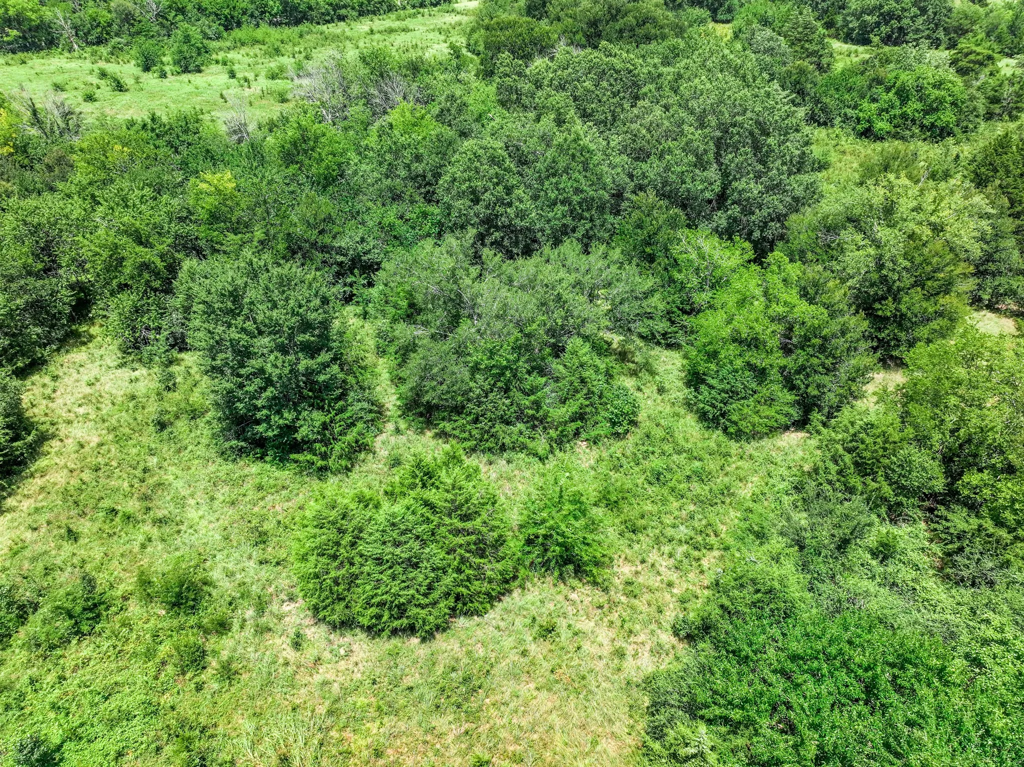 Unimproved Land For Sale in Franklin (TX) County , 0000 W Farm Rd 71 Highway, Talco, Texas 75487, 0, 0, Garage spaces, 0 Sqft, built in 0, mls#21345434, Real Estate Agent in Talco, Homes For Sale in Franklin (TX) county, Homes For Sale in Talco, Realtor in Talco Texas, Real Estate Brokerage Independent Realty Texas, Luminita Cordes Realtor