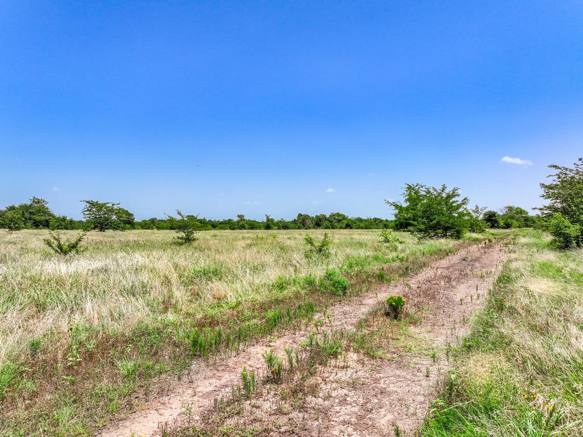 Unimproved Land For Sale in Franklin (TX) County , 0000 W Farm Rd 71 Highway, Talco, Texas 75487, 0, 0, Garage spaces, 0 Sqft, built in 0, mls#21345434, Real Estate Agent in Talco, Homes For Sale in Franklin (TX) county, Homes For Sale in Talco, Realtor in Talco Texas, Real Estate Brokerage Independent Realty Texas, Luminita Cordes Realtor