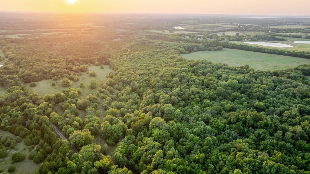 Sunset with view of south property boundary looking west