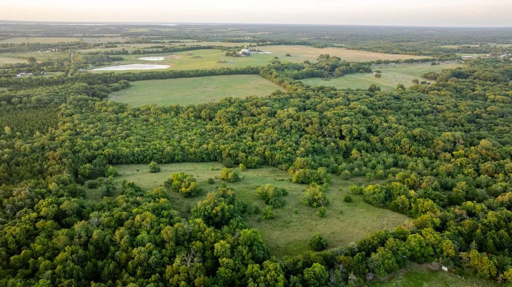 View of property from South boundary line