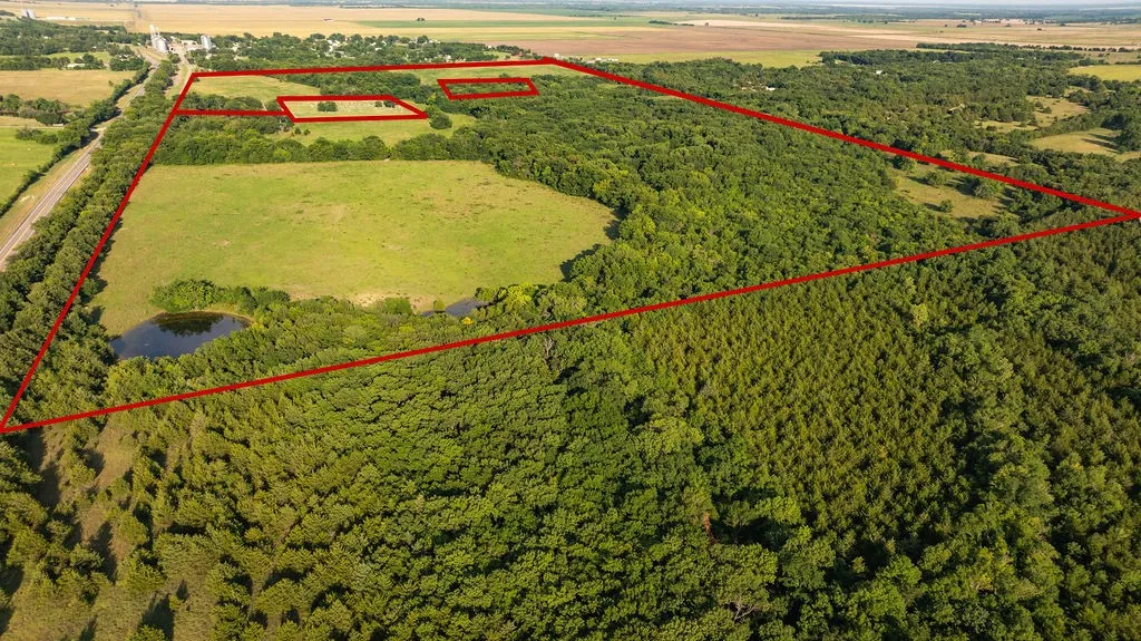 West property boundary, looking east