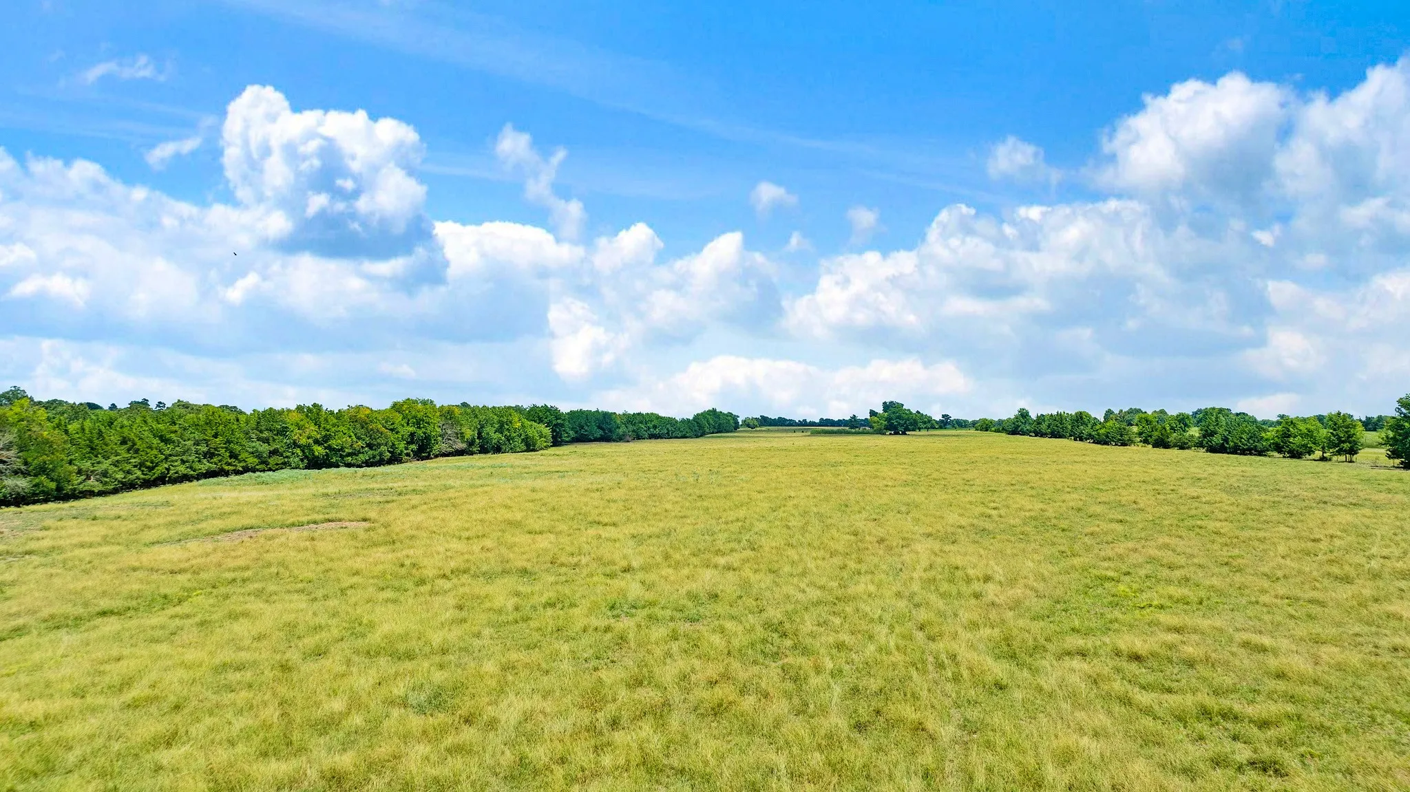 Single Family Residence For Sale in Red River (TX) County , 2606 Farm Road 412, Clarksville, Texas 75426, 3 Bedrooms, 2 Bathrooms, 2 Garage spaces, 1,500 Sqft, built in 1971, Price $624,900, mls#21345269, Real Estate Agent in Clarksville, Homes For Sale in Red River (TX) county, Homes For Sale in Clarksville, Realtor in Clarksville Texas, Real Estate Brokerage Independent Realty Texas, Luminita Cordes Realtor