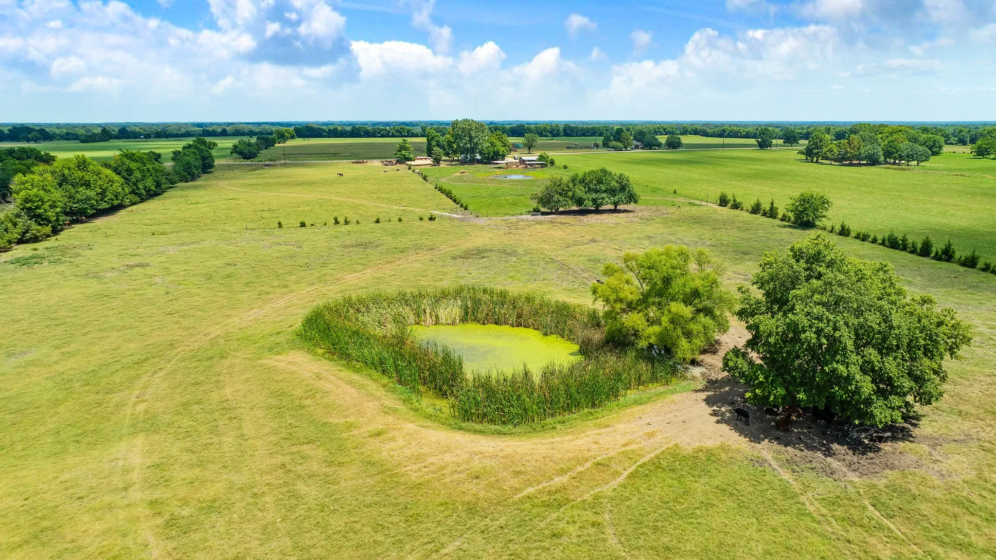Single Family Residence For Sale in Red River (TX) County , 2606 Farm Road 412, Clarksville, Texas 75426, 3 Bedrooms, 2 Bathrooms, 2 Garage spaces, 1,500 Sqft, built in 1971, Price $624,900, mls#21345269, Real Estate Agent in Clarksville, Homes For Sale in Red River (TX) county, Homes For Sale in Clarksville, Realtor in Clarksville Texas, Real Estate Brokerage Independent Realty Texas, Luminita Cordes Realtor