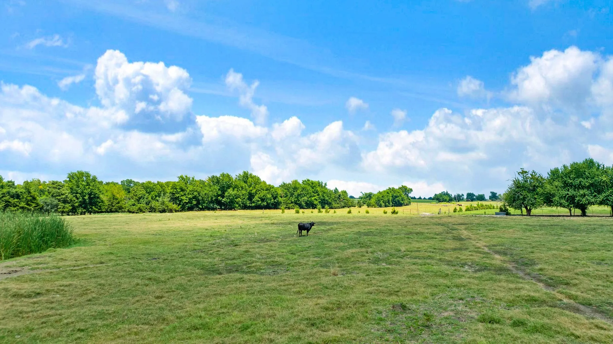 Single Family Residence For Sale in Red River (TX) County , 2606 Farm Road 412, Clarksville, Texas 75426, 3 Bedrooms, 2 Bathrooms, 2 Garage spaces, 1,500 Sqft, built in 1971, Price $624,900, mls#21345269, Real Estate Agent in Clarksville, Homes For Sale in Red River (TX) county, Homes For Sale in Clarksville, Realtor in Clarksville Texas, Real Estate Brokerage Independent Realty Texas, Luminita Cordes Realtor