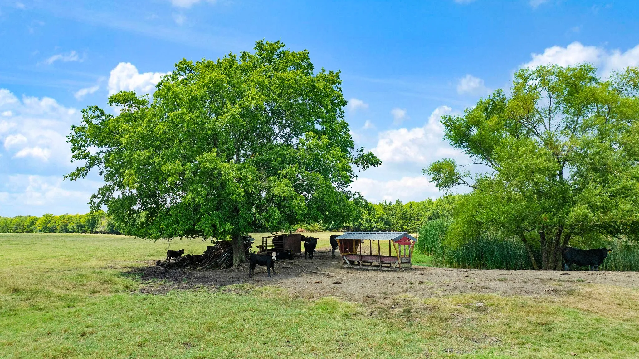 Single Family Residence For Sale in Red River (TX) County , 2606 Farm Road 412, Clarksville, Texas 75426, 3 Bedrooms, 2 Bathrooms, 2 Garage spaces, 1,500 Sqft, built in 1971, Price $624,900, mls#21345269, Real Estate Agent in Clarksville, Homes For Sale in Red River (TX) county, Homes For Sale in Clarksville, Realtor in Clarksville Texas, Real Estate Brokerage Independent Realty Texas, Luminita Cordes Realtor