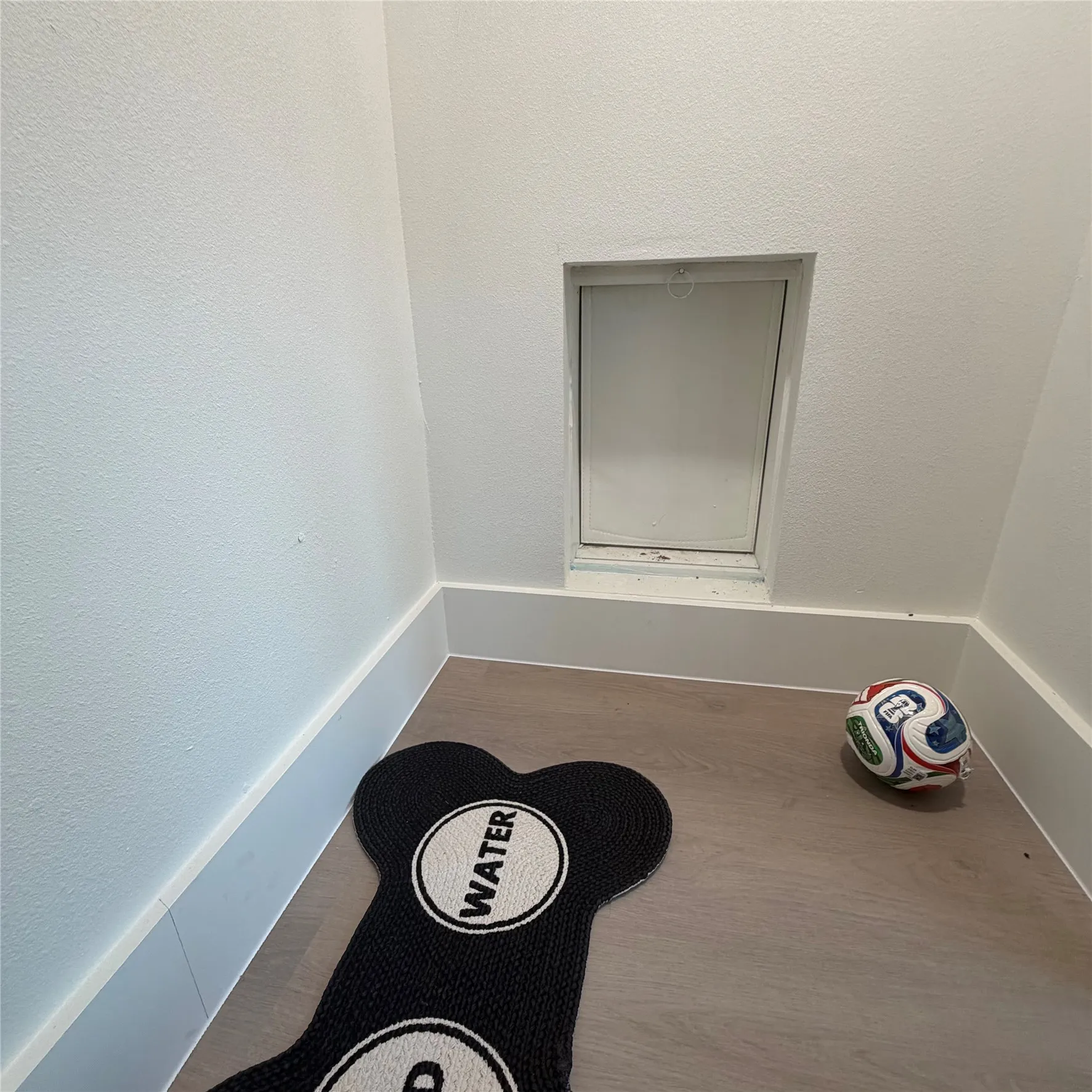 DOGGY DOOR TO OUTSIDE