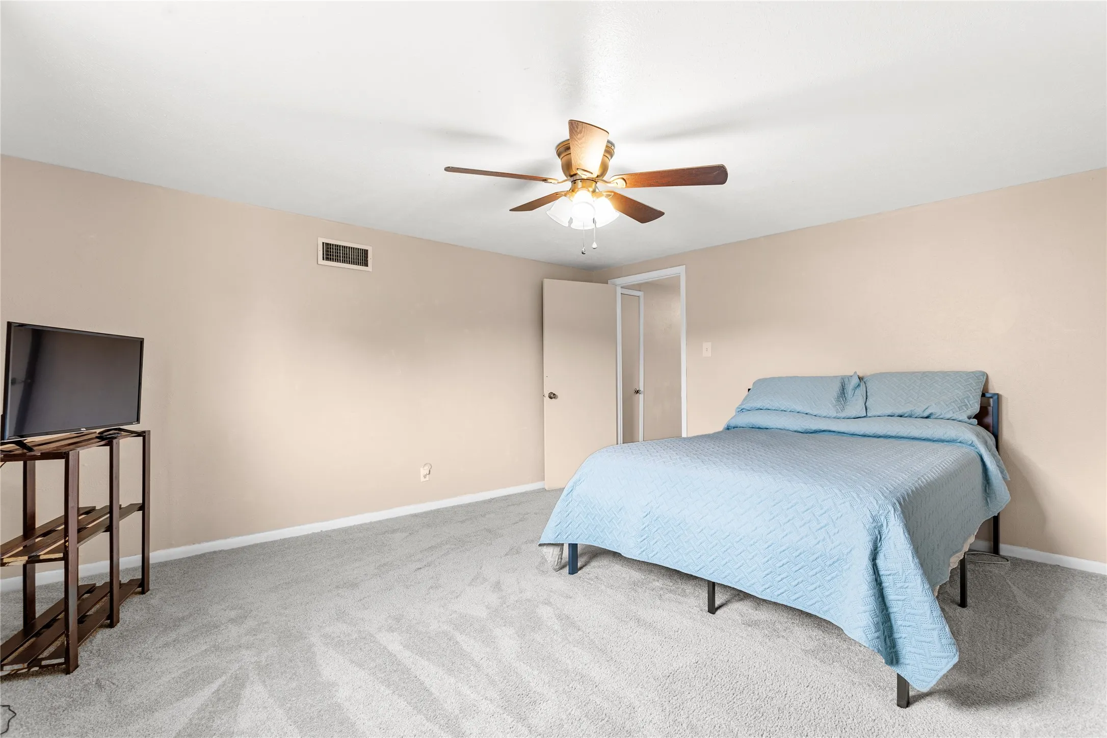 Plush gray carpeting with light beige walls and white trim