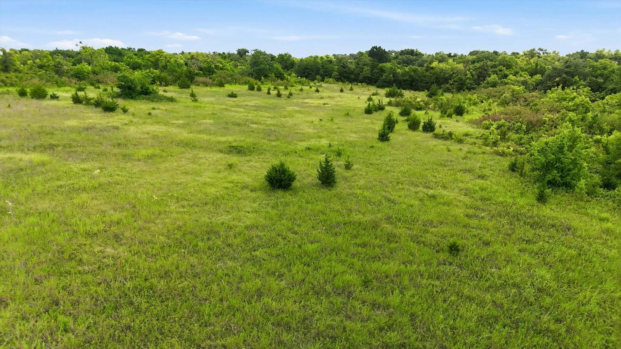 Expansive green field featuring varied vegetation and a tree line along the perimeter