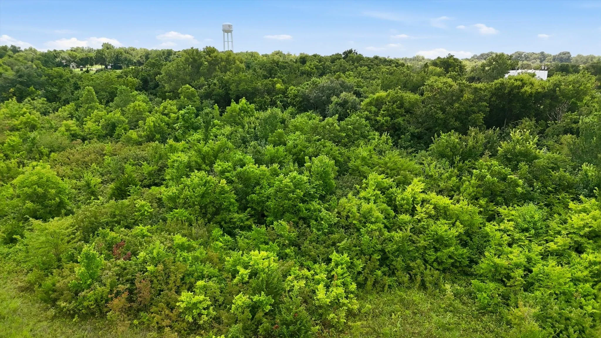 Unimproved Land For Sale in Fannin County , 16930 E Us-82, Honey Grove, Texas 75446, 0, 0, Garage spaces, 0 Sqft, built in 0, Price $560,400, mls#21342743, Real Estate Agent in Honey Grove, Homes For Sale in Fannin county, Homes For Sale in Honey Grove, Realtor in Honey Grove Texas, Real Estate Brokerage Independent Realty Texas, Luminita Cordes Realtor