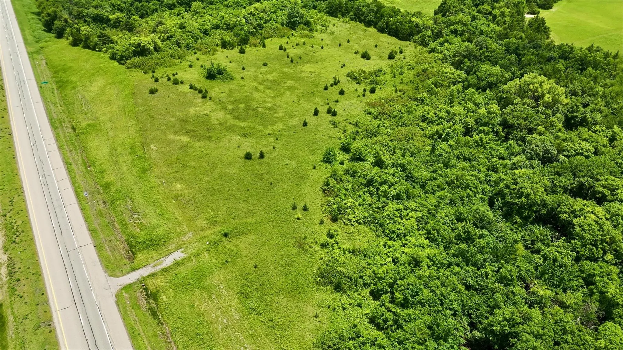 Expansive green landscape featuring mature trees and a paved road