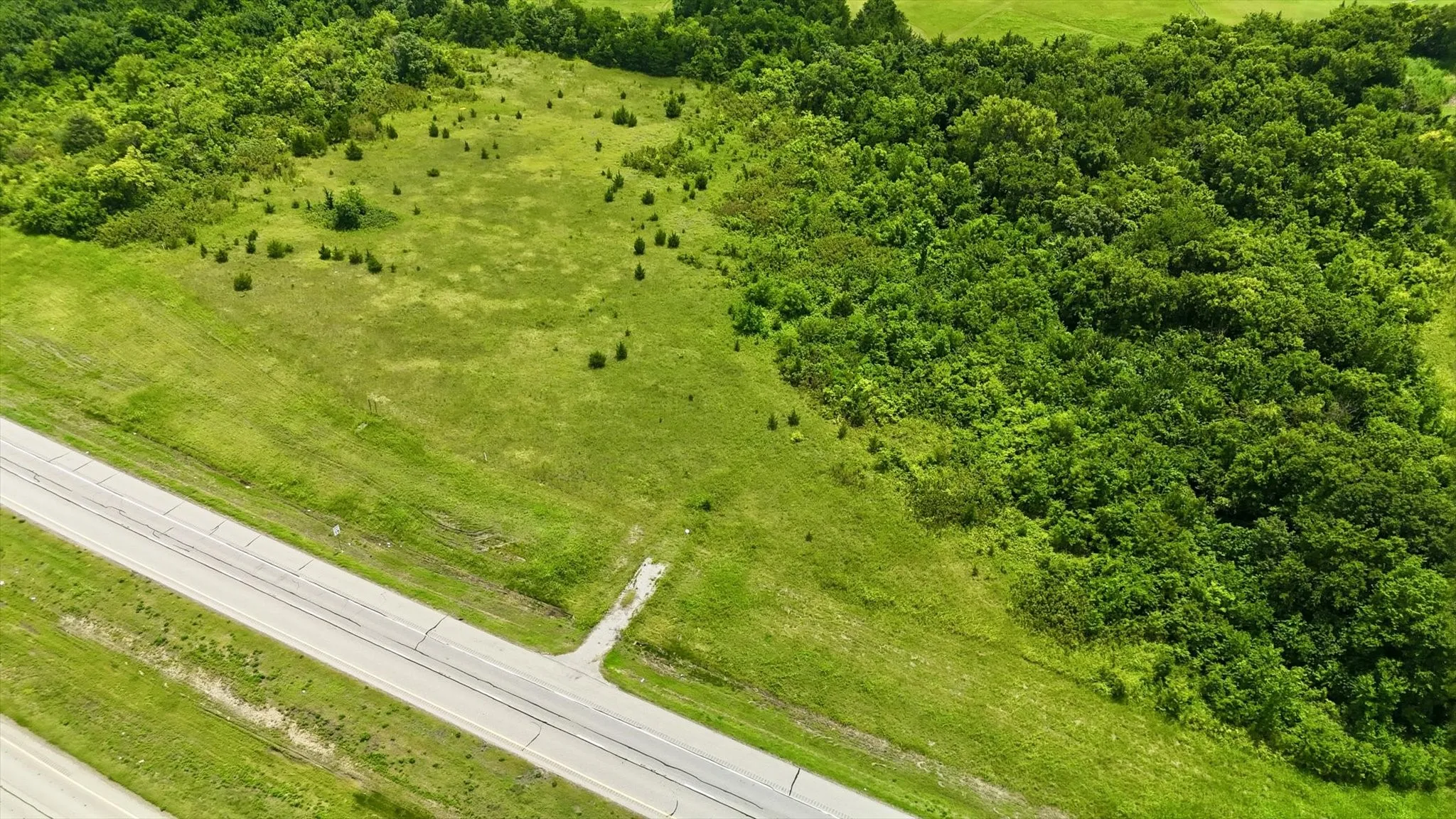 Expansive parcel featuring a paved road frontage, established tree line, and open grassy areas