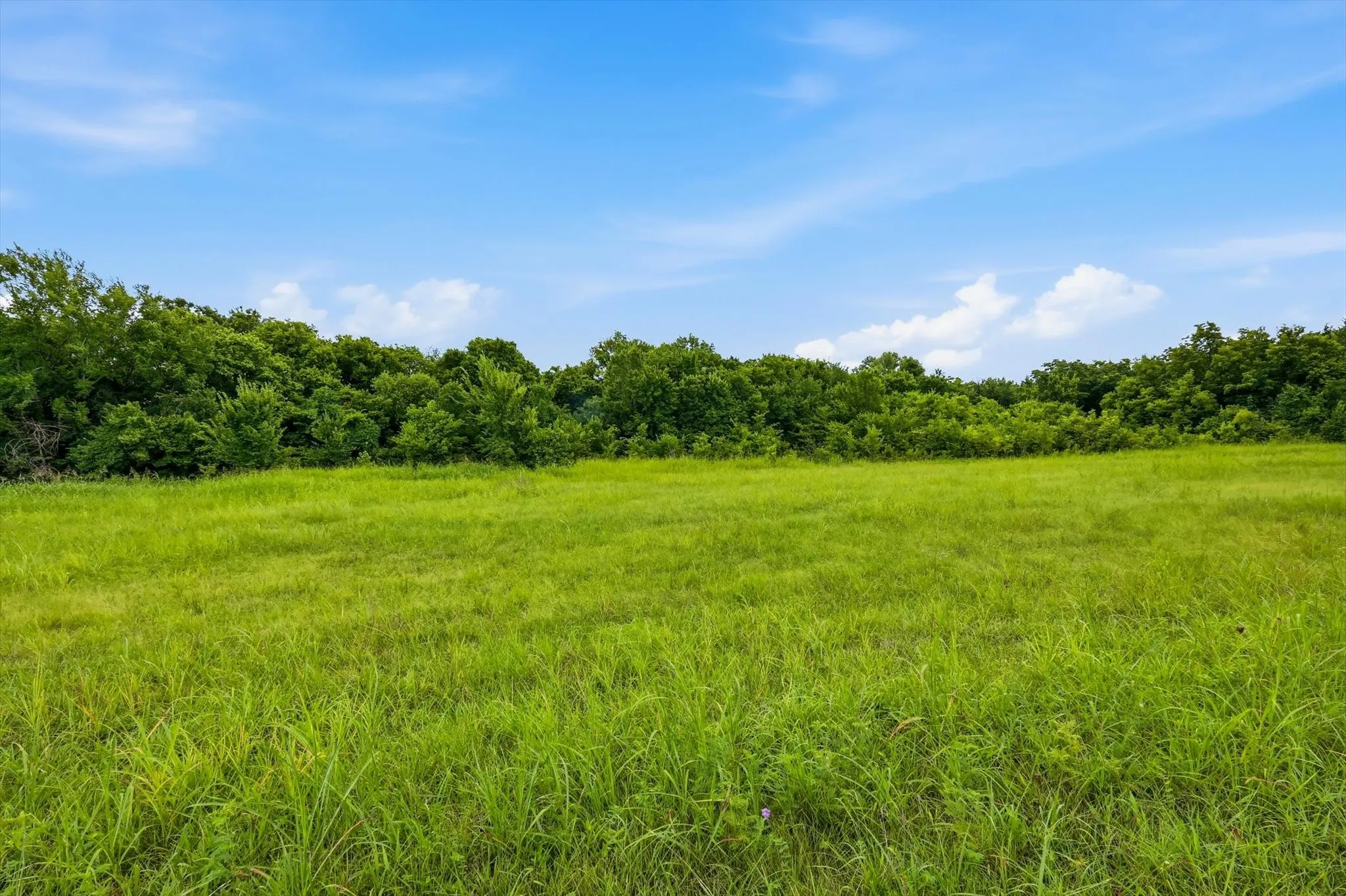Expansive green field with natural tree line