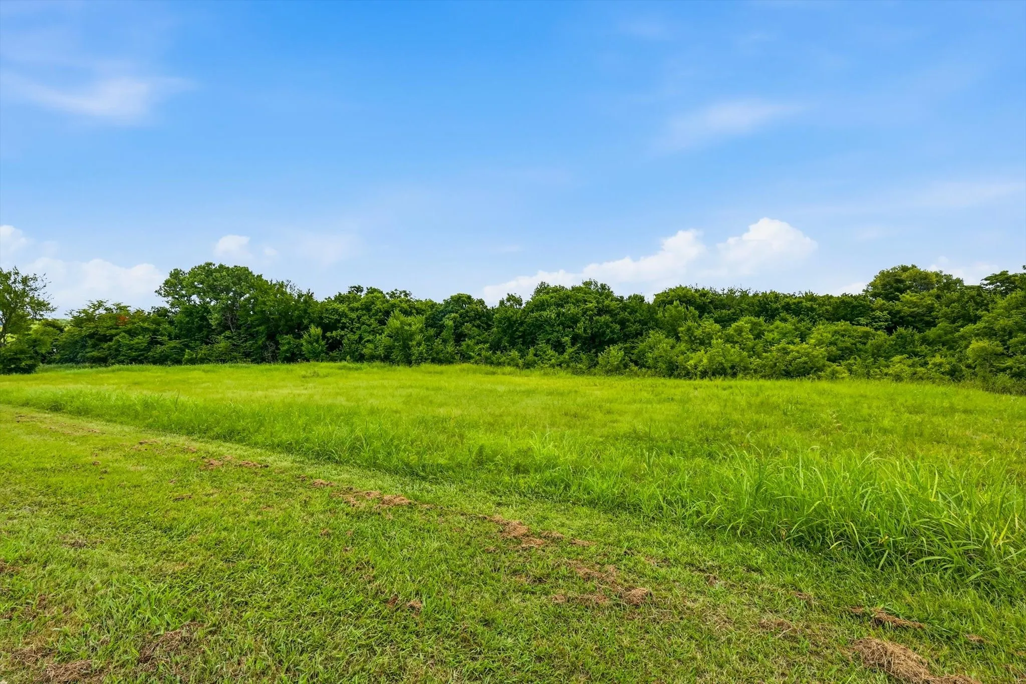 Expansive green pasture with a backdrop of mature trees and open sky