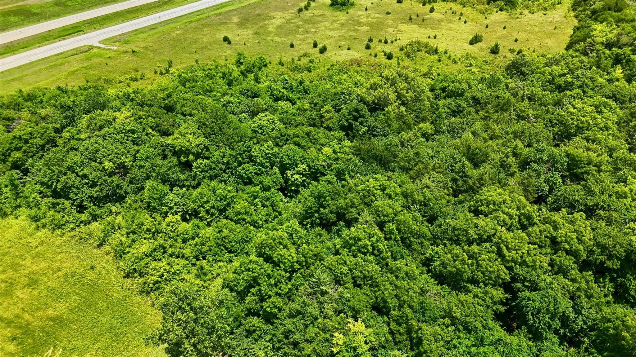 Expansive wooded parcel featuring mature trees, a natural landscape, and a paved road bordering the property