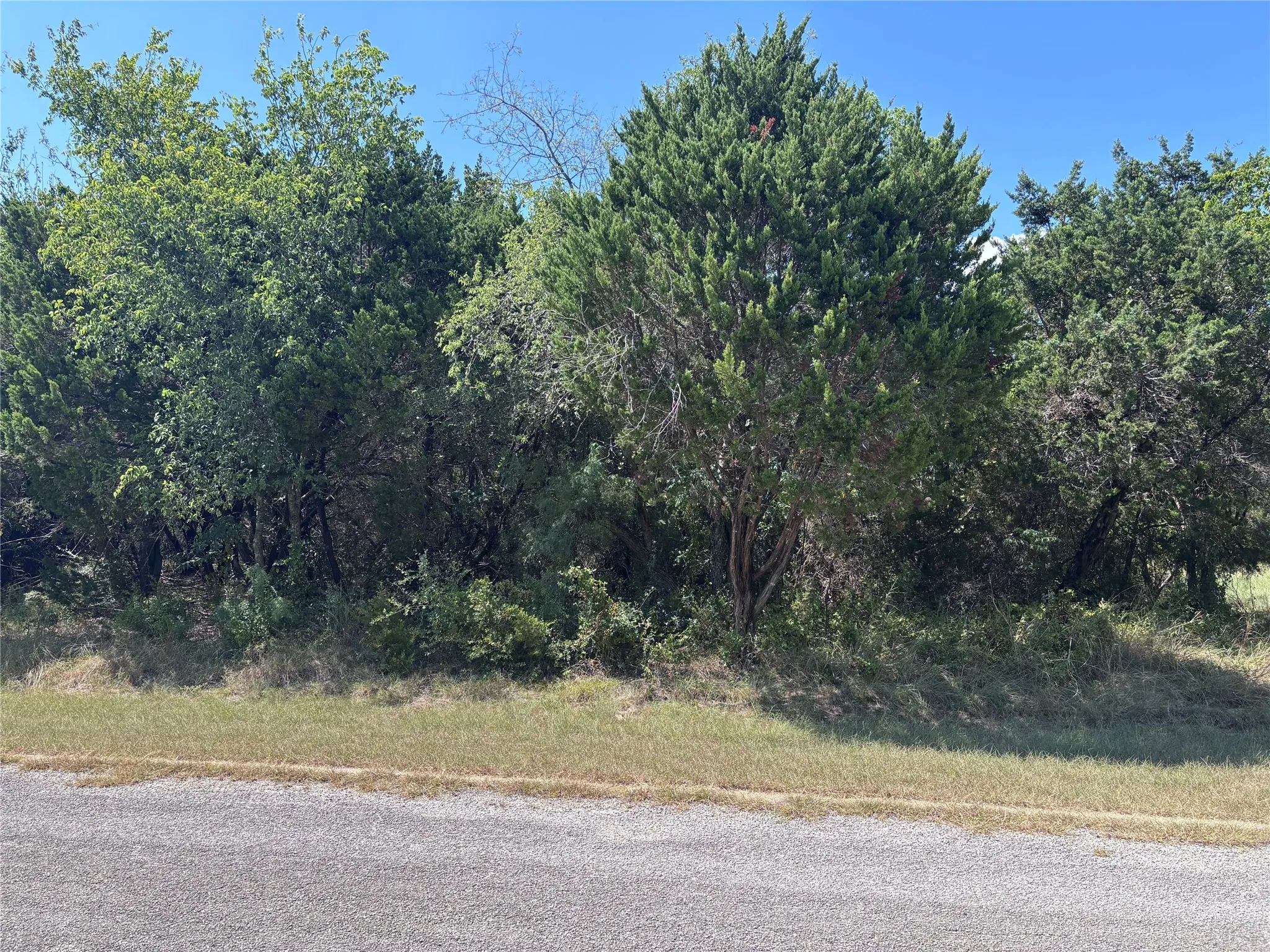 Unimproved Land For Sale in Hill County , 39037 Mesquite Drive, Whitney, Texas 76692, 0, 0, Garage spaces, 0 Sqft, built in 0, mls#21344033, Real Estate Agent in Whitney, Homes For Sale in Hill county, Homes For Sale in Whitney, Realtor in Whitney Texas, Real Estate Brokerage Independent Realty Texas, Luminita Cordes Realtor