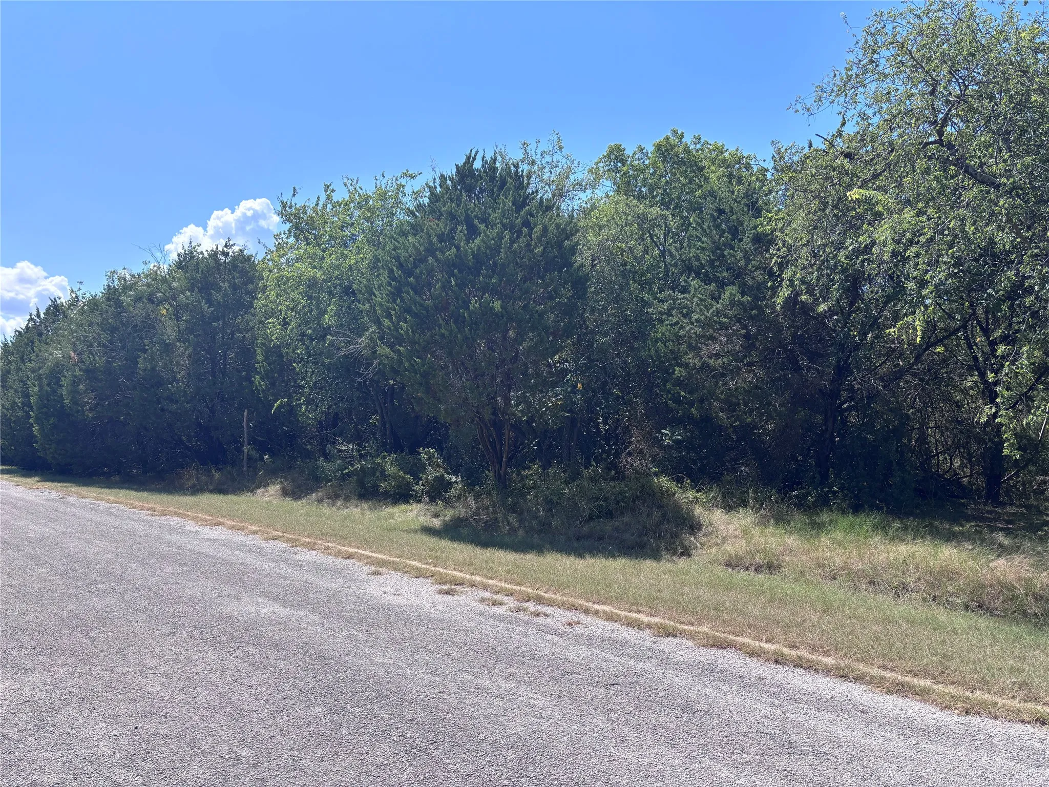 Unimproved Land For Sale in Hill County , 39037 Mesquite Drive, Whitney, Texas 76692, 0, 0, Garage spaces, 0 Sqft, built in 0, mls#21344033, Real Estate Agent in Whitney, Homes For Sale in Hill county, Homes For Sale in Whitney, Realtor in Whitney Texas, Real Estate Brokerage Independent Realty Texas, Luminita Cordes Realtor