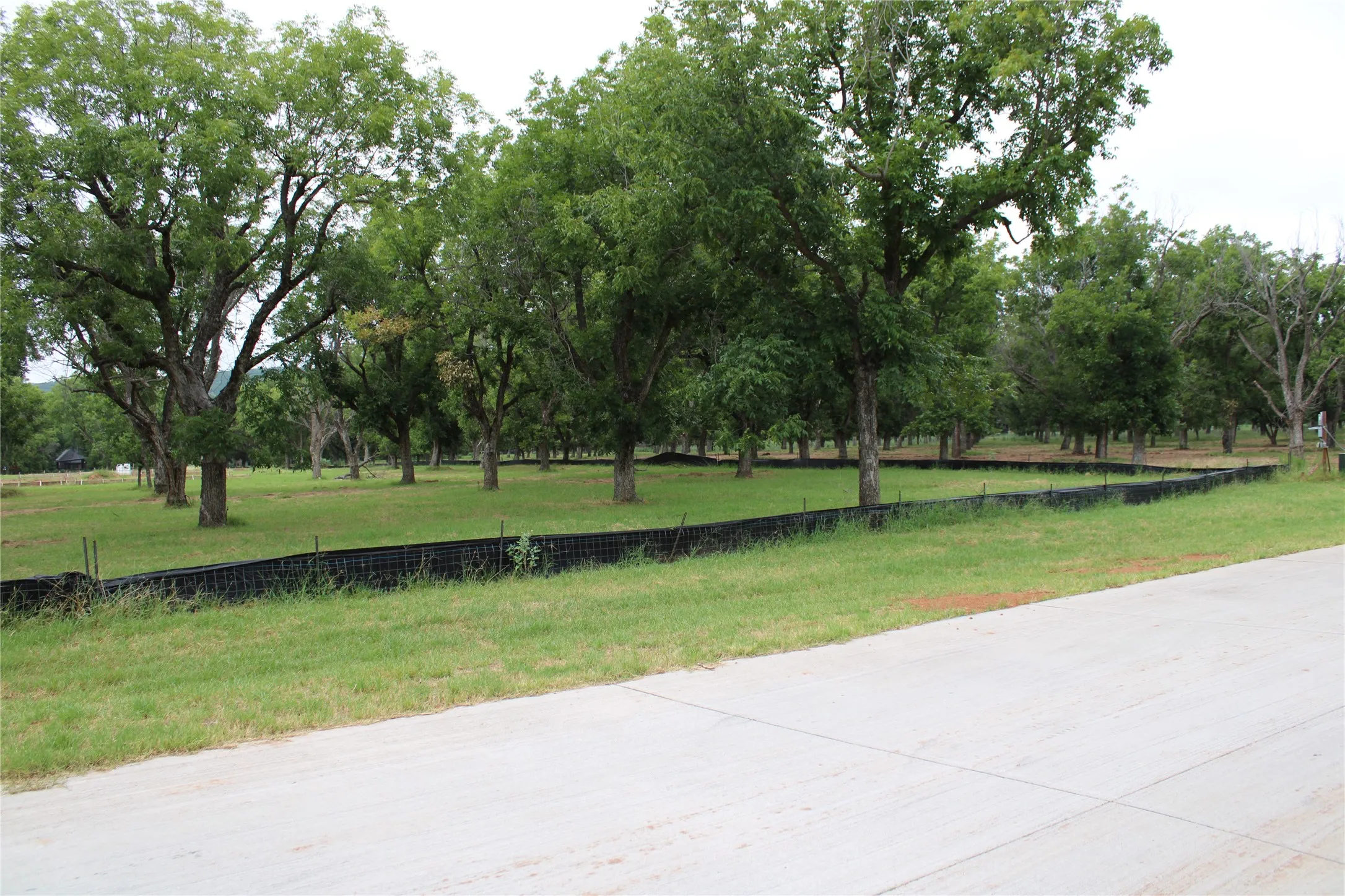 Improved Land For Sale in Johnson County , 3177 E Landings S, Granbury, Texas 76048, 0, 0, Garage spaces, 0 Sqft, built in 0, Price $525,000, mls#21345469, Real Estate Agent in Granbury, Homes For Sale in Johnson county, Homes For Sale in Granbury, Realtor in Granbury Texas, Real Estate Brokerage Independent Realty Texas, Luminita Cordes Realtor