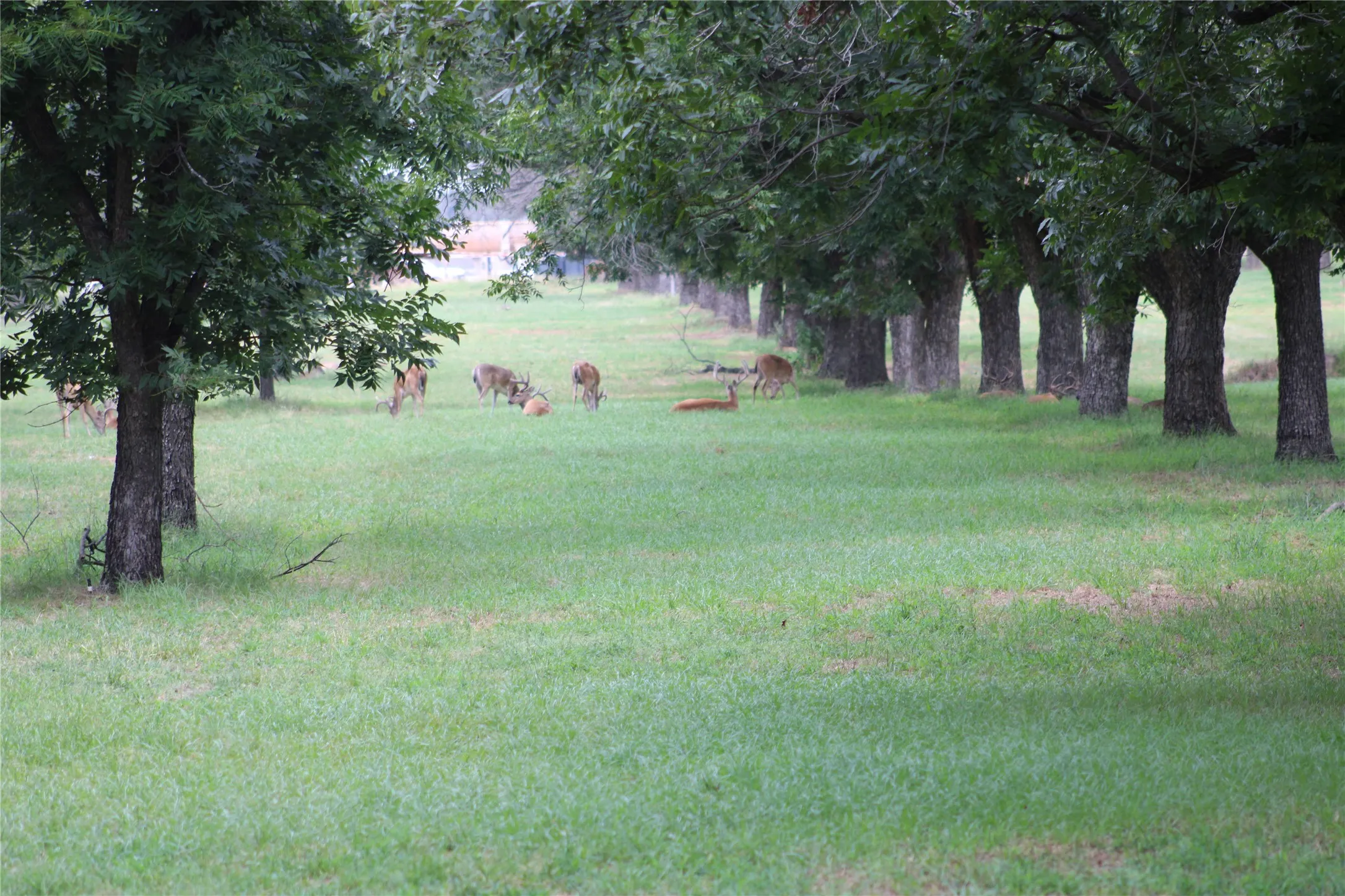 Improved Land For Sale in Johnson County , 3177 E Landings S, Granbury, Texas 76048, 0, 0, Garage spaces, 0 Sqft, built in 0, Price $525,000, mls#21345469, Real Estate Agent in Granbury, Homes For Sale in Johnson county, Homes For Sale in Granbury, Realtor in Granbury Texas, Real Estate Brokerage Independent Realty Texas, Luminita Cordes Realtor