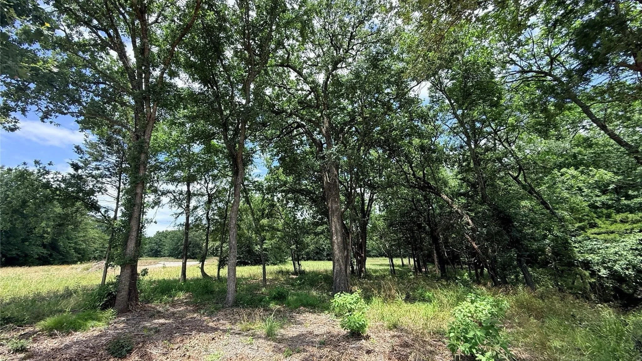 Unimproved Land For Sale in Rains County , TBD Private Road 5440 Lot 26, Point, Texas 75472, 0, 0, Garage spaces, 0 Sqft, built in 0, Price $70,900, mls#21305058, Real Estate Agent in Point, Homes For Sale in Rains county, Homes For Sale in Point, Realtor in Point Texas, Real Estate Brokerage Independent Realty Texas, Luminita Cordes Realtor