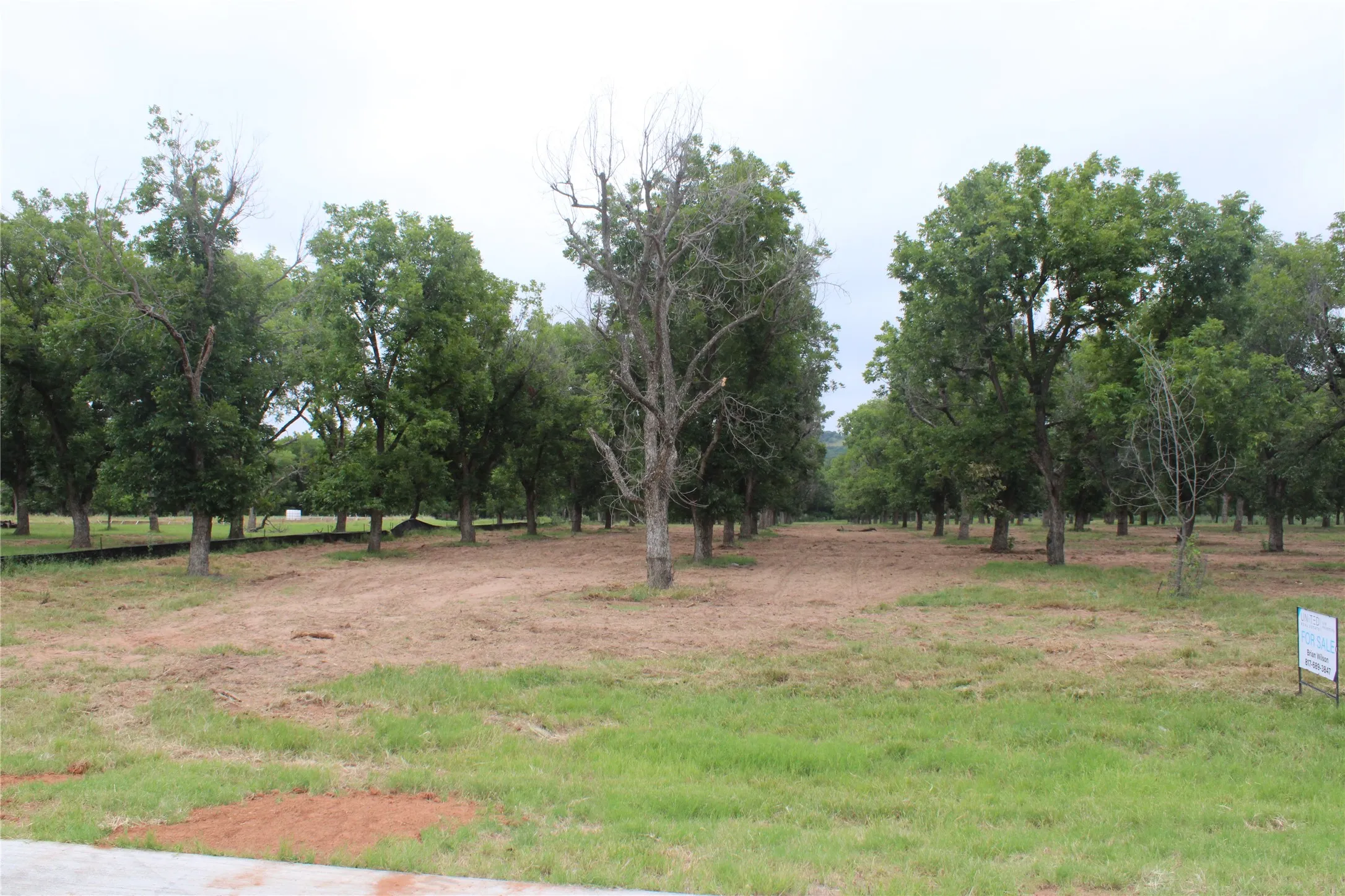 Unimproved Land For Sale in Johnson County , 3173 E Landings S, Granbury, Texas 76049, 0, 0, Garage spaces, 0 Sqft, built in 0, Price $380,000, mls#21345475, Real Estate Agent in Granbury, Homes For Sale in Johnson county, Homes For Sale in Granbury, Realtor in Granbury Texas, Real Estate Brokerage Independent Realty Texas, Luminita Cordes Realtor