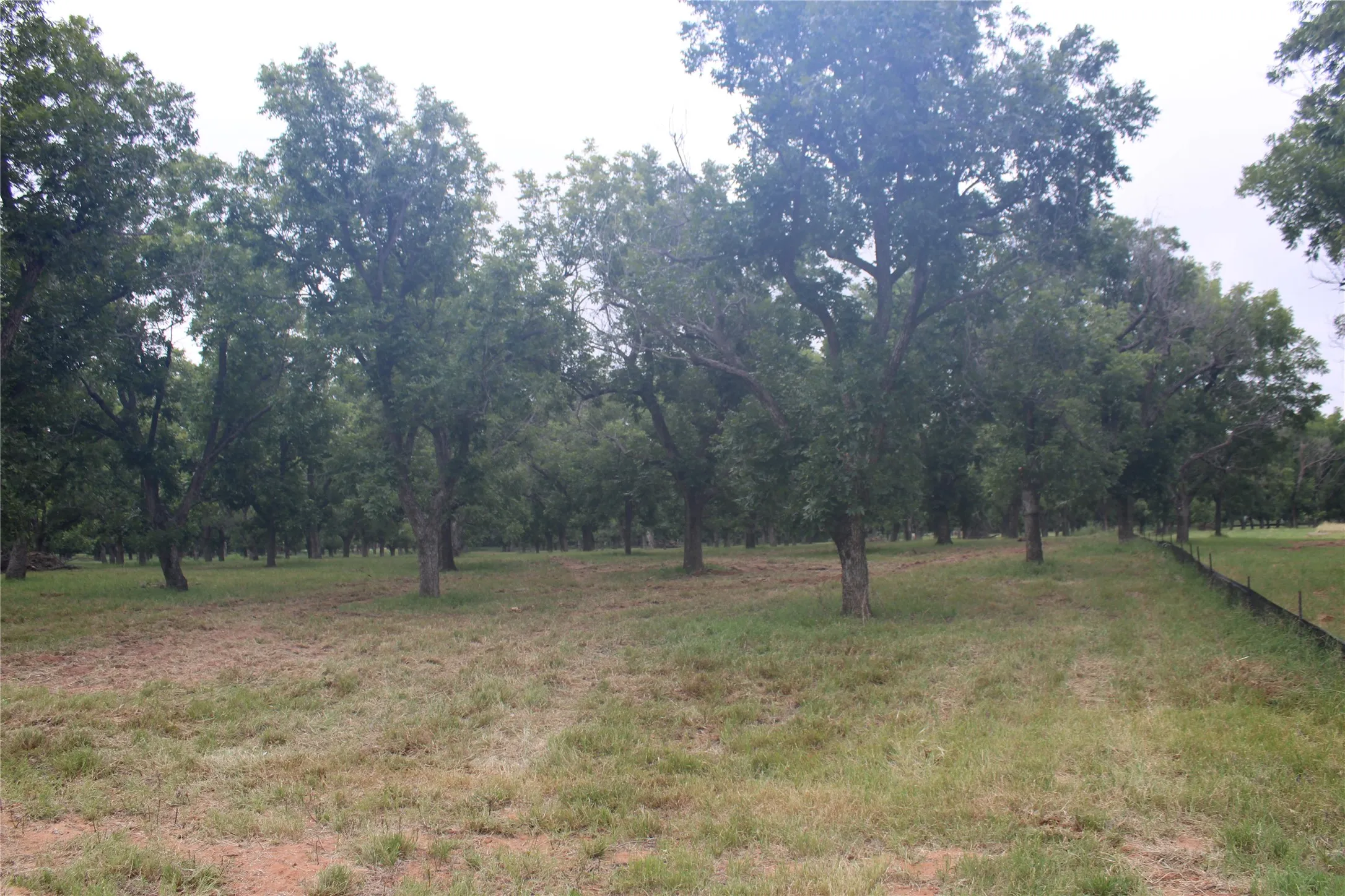Unimproved Land For Sale in Johnson County , 3173 E Landings S, Granbury, Texas 76049, 0, 0, Garage spaces, 0 Sqft, built in 0, Price $380,000, mls#21345475, Real Estate Agent in Granbury, Homes For Sale in Johnson county, Homes For Sale in Granbury, Realtor in Granbury Texas, Real Estate Brokerage Independent Realty Texas, Luminita Cordes Realtor