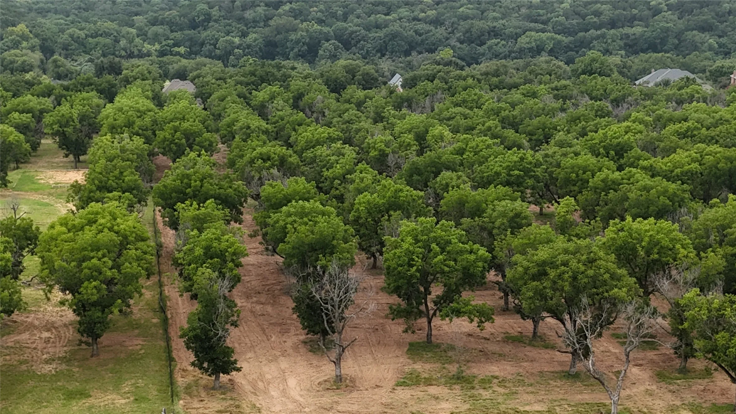 Unimproved Land For Sale in Johnson County , 3173 E Landings S, Granbury, Texas 76049, 0, 0, Garage spaces, 0 Sqft, built in 0, Price $380,000, mls#21345475, Real Estate Agent in Granbury, Homes For Sale in Johnson county, Homes For Sale in Granbury, Realtor in Granbury Texas, Real Estate Brokerage Independent Realty Texas, Luminita Cordes Realtor