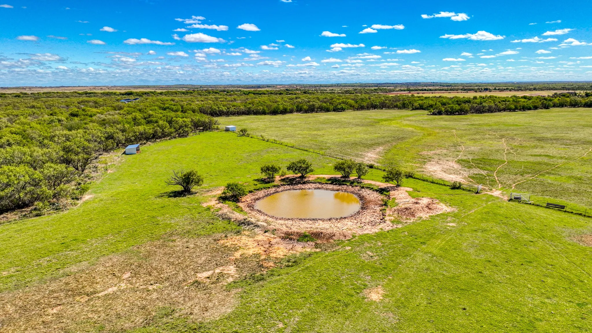 Expansive acreage featuring a natural pond surrounded by mature trees