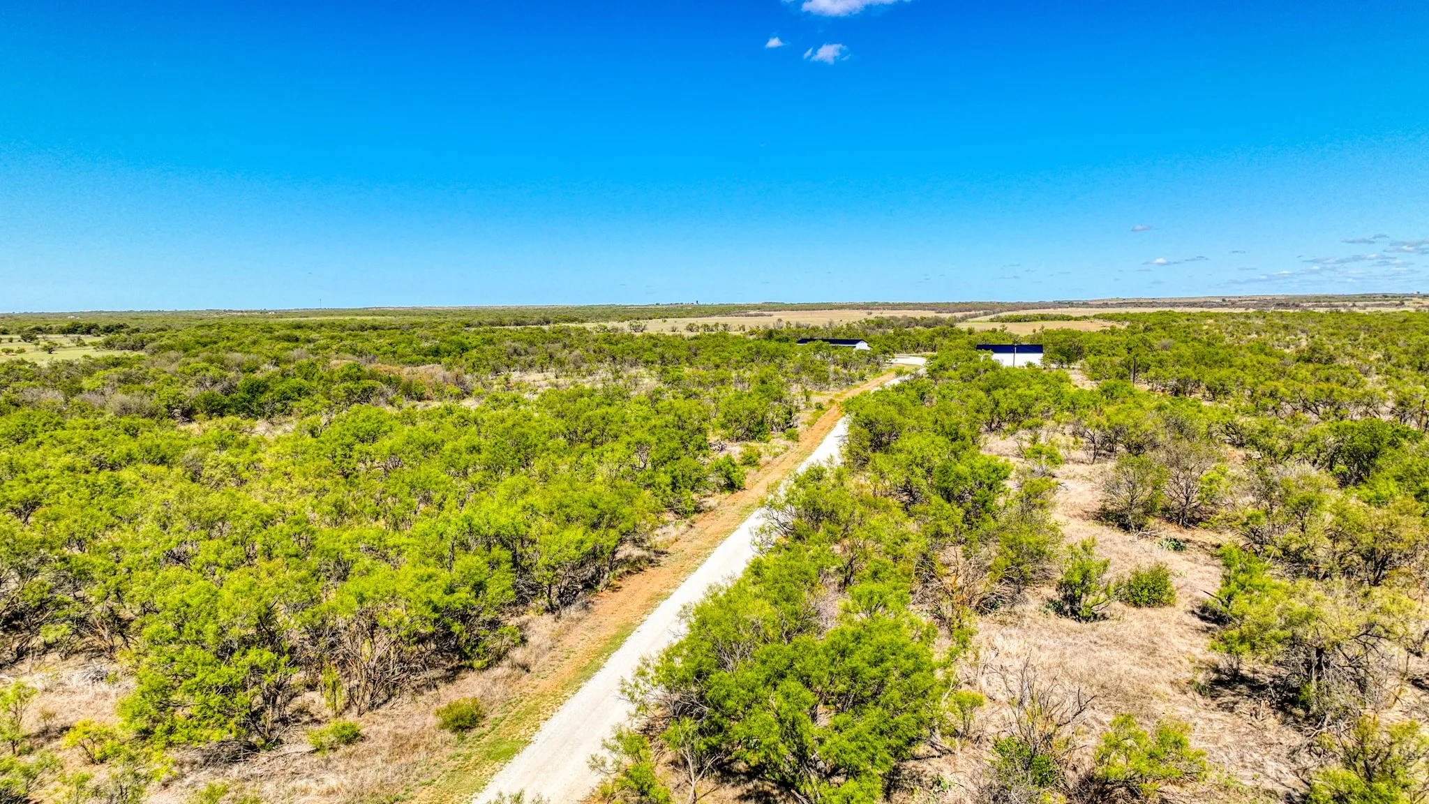 Expansive acreage with a gravel road winding through dense green foliage under a clear blue sky