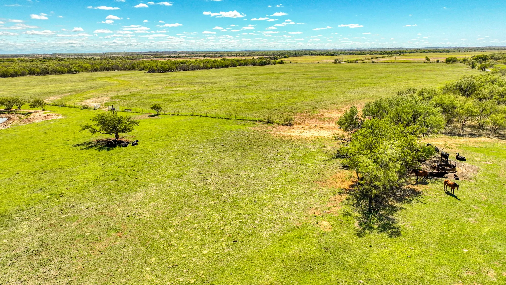 Expansive green acreage with scattered mature trees and distant tree lines