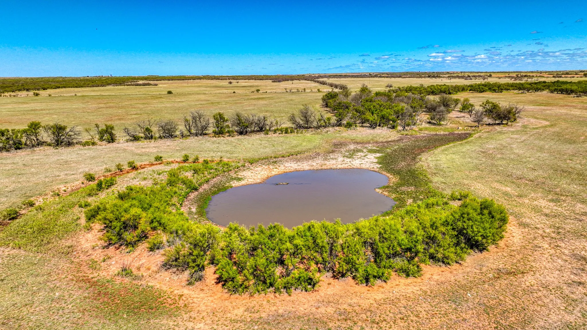 Expansive rural landscape featuring a central pond, verdant shrubbery, and scattered mature trees