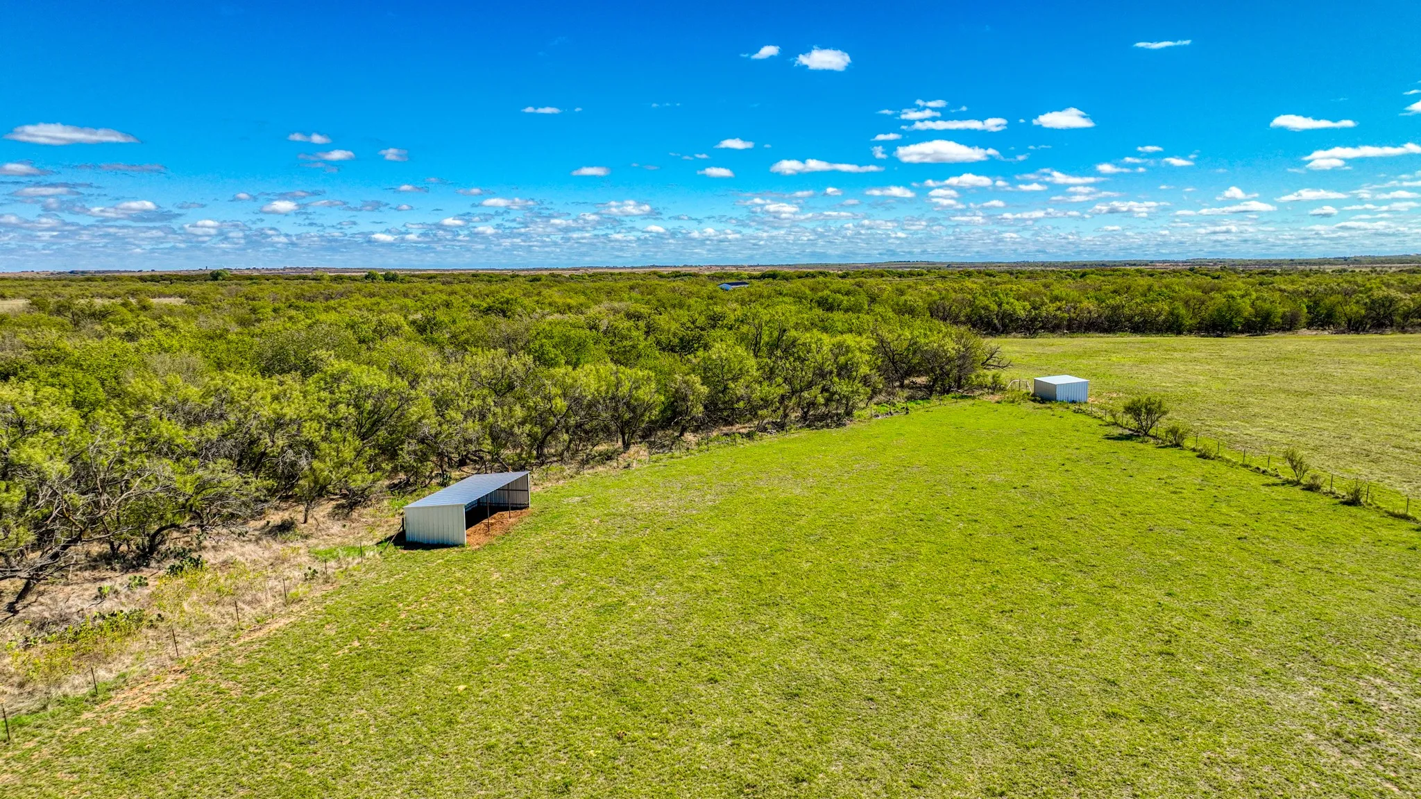 Expansive green acreage featuring a wooded perimeter and two detached outbuildings