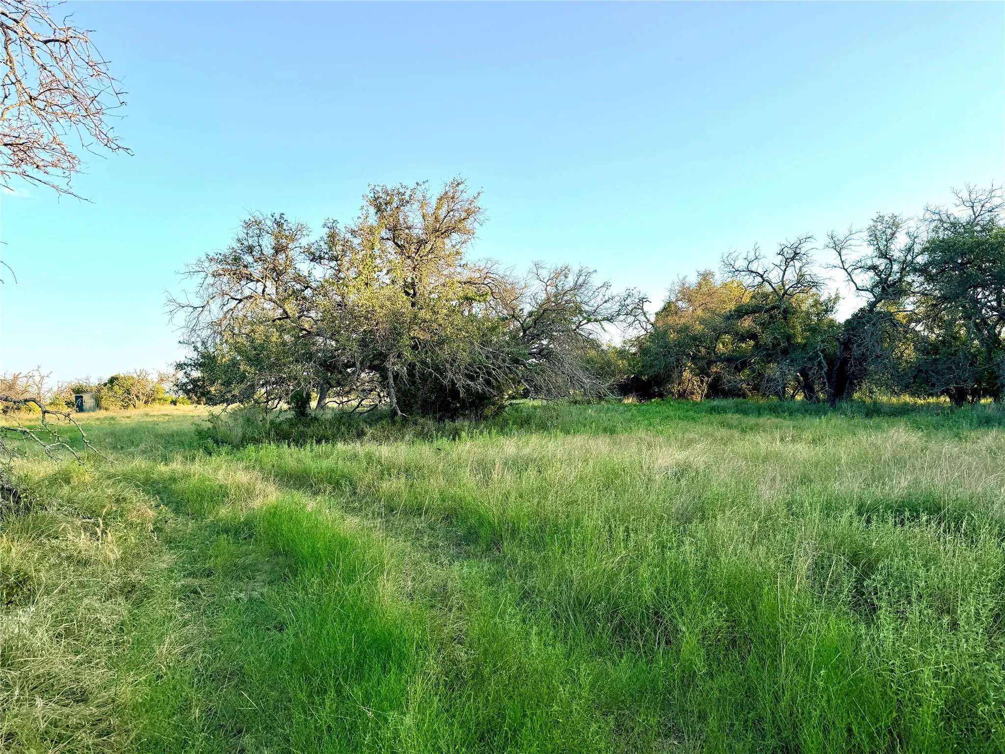 Unimproved Land For Sale in Mills County , 130 County Road 120, Goldthwaite, Texas 76844, 0, 0, Garage spaces, 0 Sqft, built in 0, Price $433,200, mls#21345159, Real Estate Agent in Goldthwaite, Homes For Sale in Mills county, Homes For Sale in Goldthwaite, Realtor in Goldthwaite Texas, Real Estate Brokerage Independent Realty Texas, Luminita Cordes Realtor