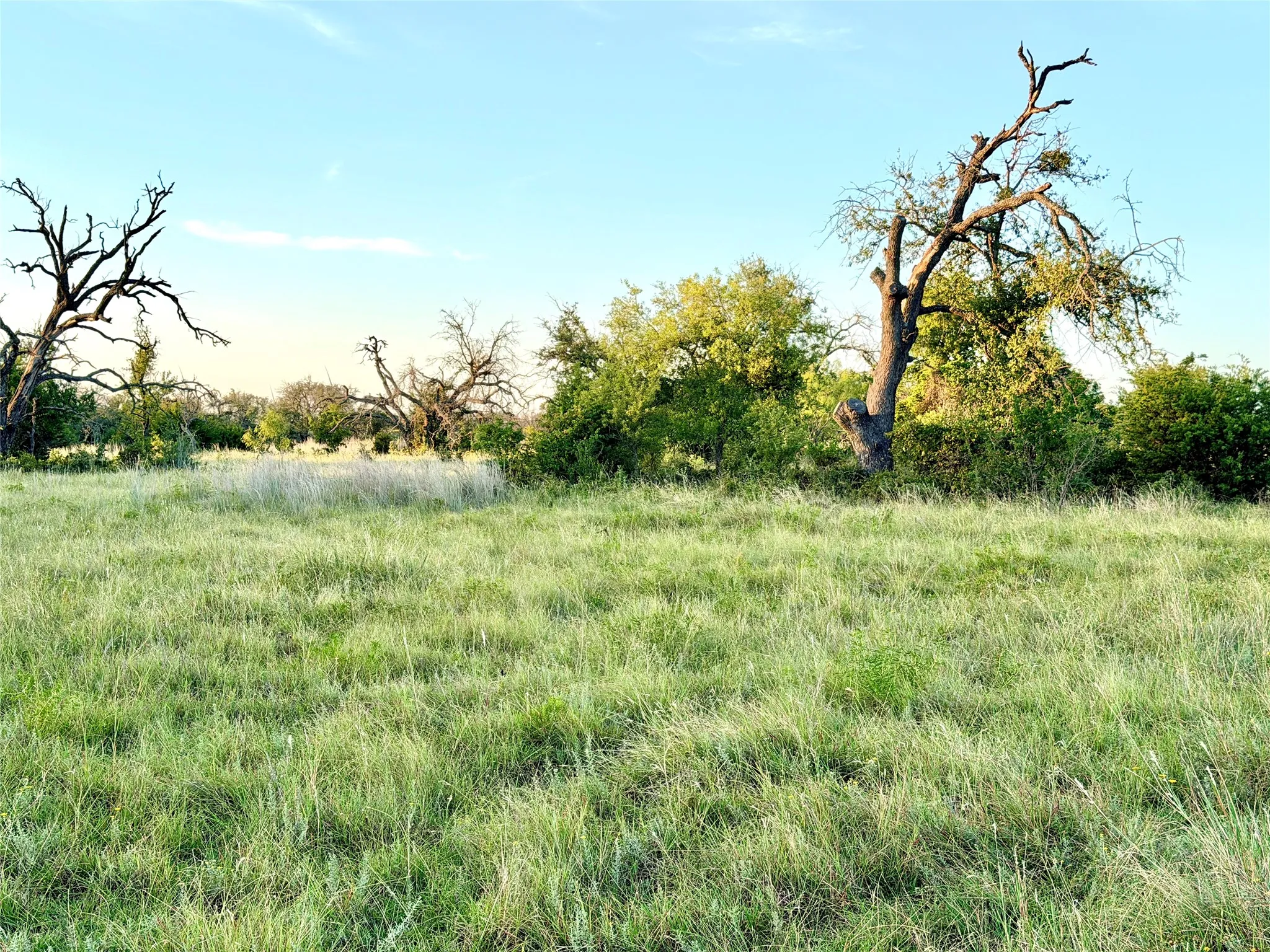 Unimproved Land For Sale in Mills County , 130 County Road 120, Goldthwaite, Texas 76844, 0, 0, Garage spaces, 0 Sqft, built in 0, Price $433,200, mls#21345159, Real Estate Agent in Goldthwaite, Homes For Sale in Mills county, Homes For Sale in Goldthwaite, Realtor in Goldthwaite Texas, Real Estate Brokerage Independent Realty Texas, Luminita Cordes Realtor