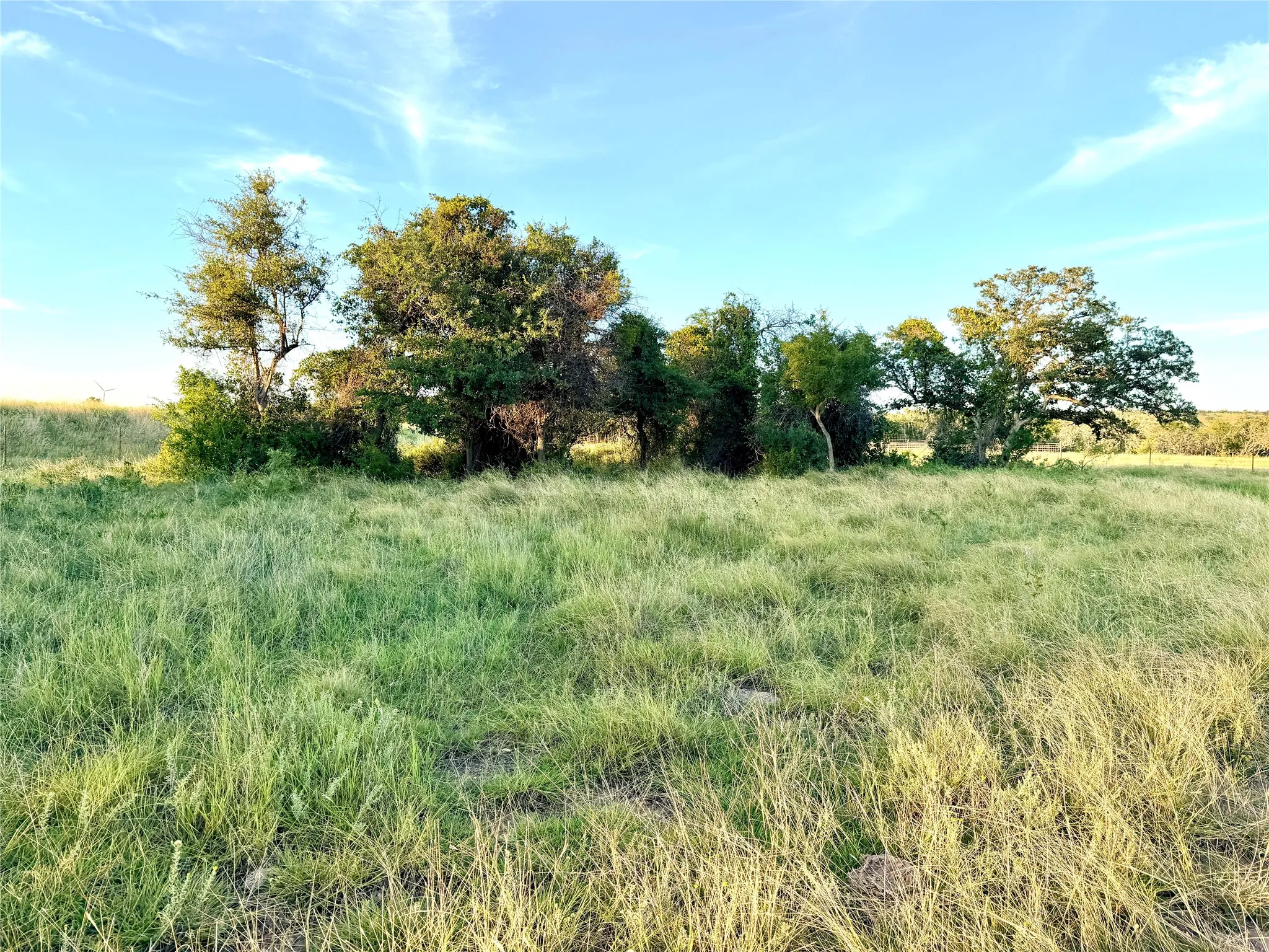 Unimproved Land For Sale in Mills County , 130 County Road 120, Goldthwaite, Texas 76844, 0, 0, Garage spaces, 0 Sqft, built in 0, Price $433,200, mls#21345159, Real Estate Agent in Goldthwaite, Homes For Sale in Mills county, Homes For Sale in Goldthwaite, Realtor in Goldthwaite Texas, Real Estate Brokerage Independent Realty Texas, Luminita Cordes Realtor