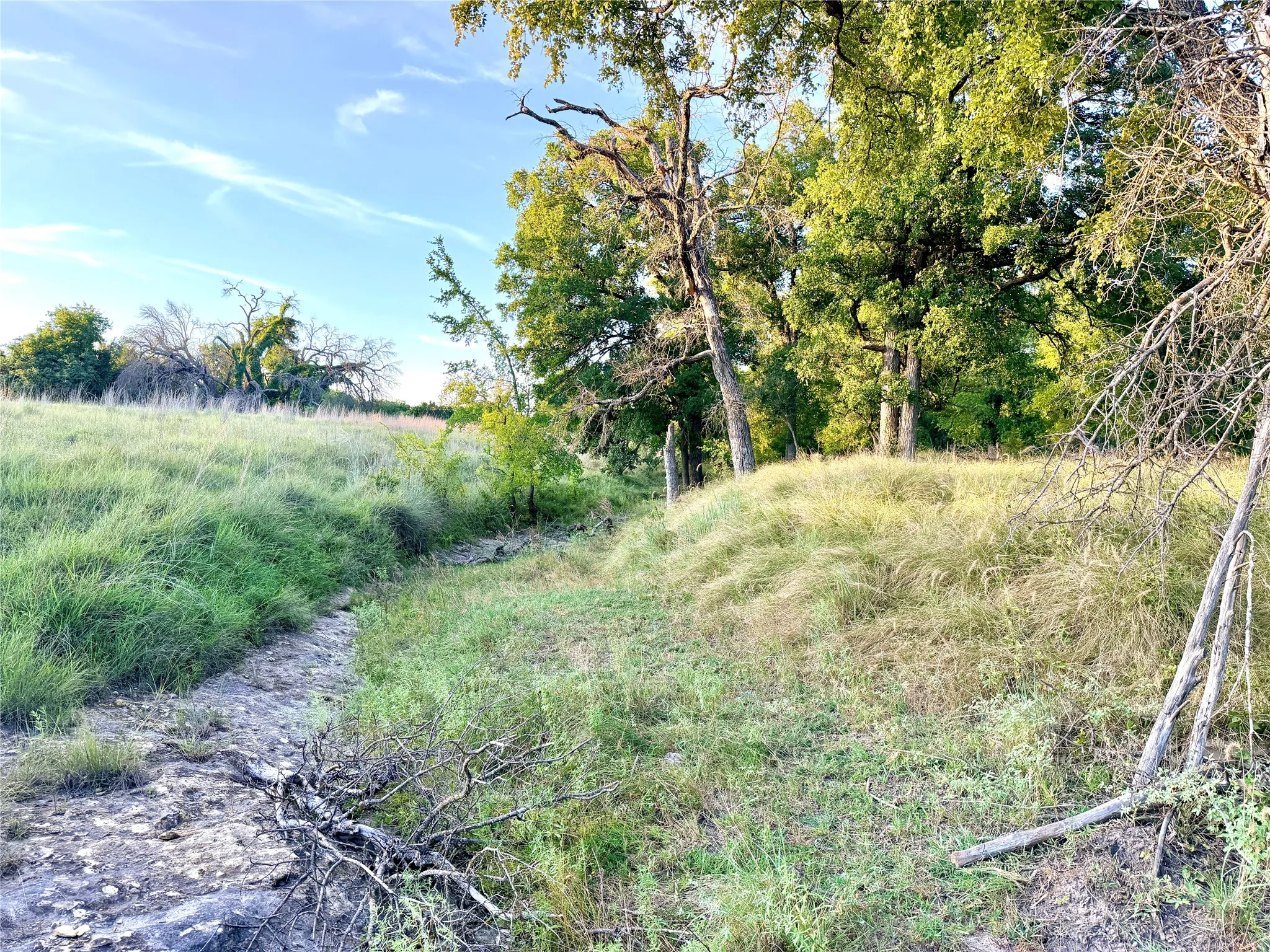 Unimproved Land For Sale in Mills County , 130 County Road 120, Goldthwaite, Texas 76844, 0, 0, Garage spaces, 0 Sqft, built in 0, Price $433,200, mls#21345159, Real Estate Agent in Goldthwaite, Homes For Sale in Mills county, Homes For Sale in Goldthwaite, Realtor in Goldthwaite Texas, Real Estate Brokerage Independent Realty Texas, Luminita Cordes Realtor