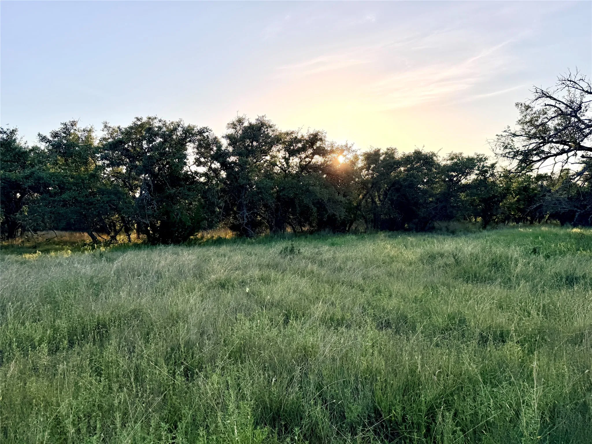 Unimproved Land For Sale in Mills County , 130 County Road 120, Goldthwaite, Texas 76844, 0, 0, Garage spaces, 0 Sqft, built in 0, Price $433,200, mls#21345159, Real Estate Agent in Goldthwaite, Homes For Sale in Mills county, Homes For Sale in Goldthwaite, Realtor in Goldthwaite Texas, Real Estate Brokerage Independent Realty Texas, Luminita Cordes Realtor