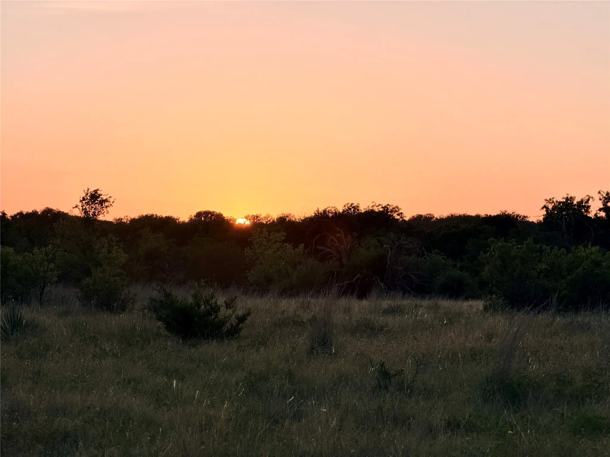 Unimproved Land For Sale in Mills County , 130 County Road 120, Goldthwaite, Texas 76844, 0, 0, Garage spaces, 0 Sqft, built in 0, Price $433,200, mls#21345159, Real Estate Agent in Goldthwaite, Homes For Sale in Mills county, Homes For Sale in Goldthwaite, Realtor in Goldthwaite Texas, Real Estate Brokerage Independent Realty Texas, Luminita Cordes Realtor