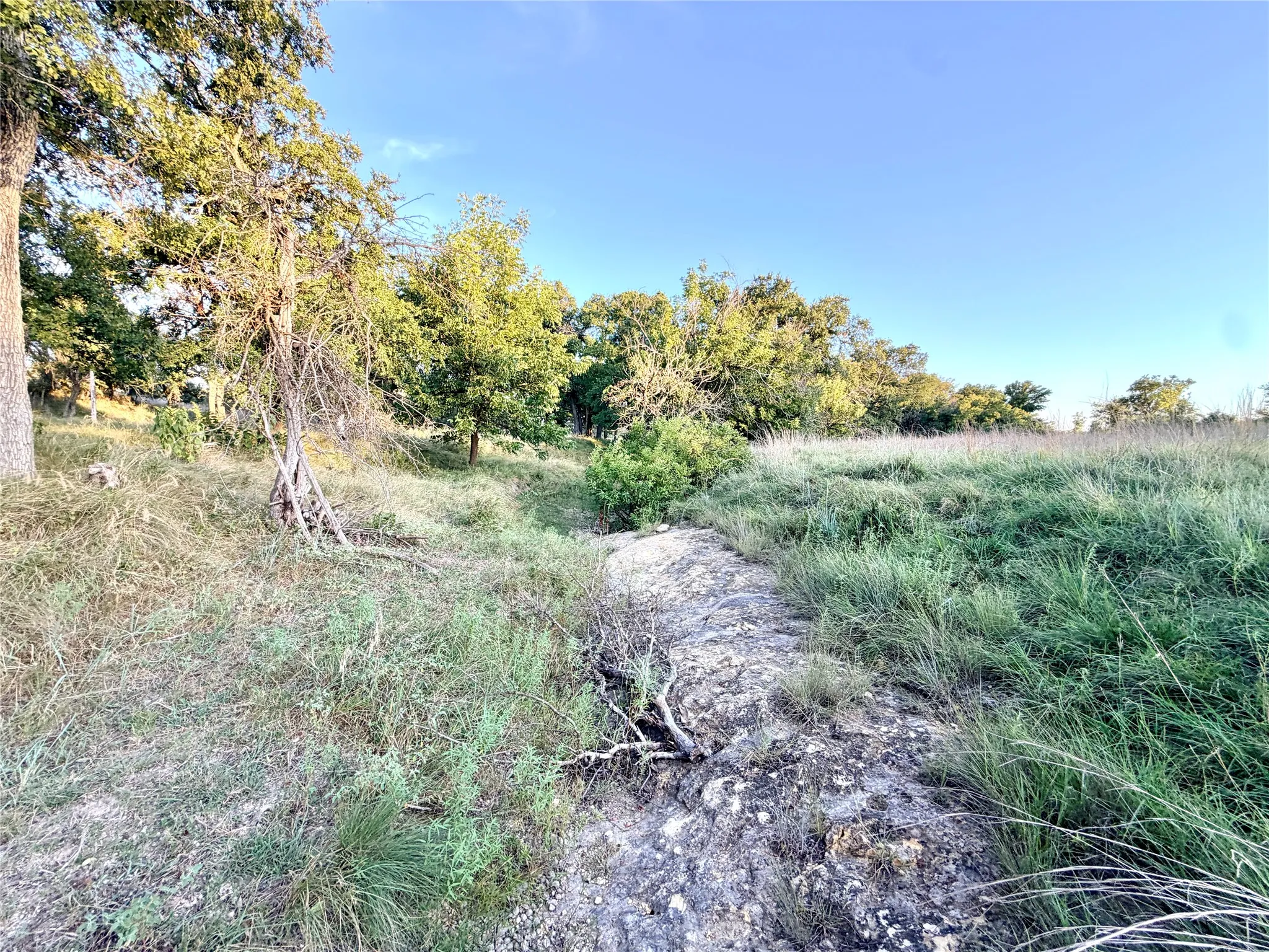 Unimproved Land For Sale in Mills County , 130 County Road 120, Goldthwaite, Texas 76844, 0, 0, Garage spaces, 0 Sqft, built in 0, Price $433,200, mls#21345159, Real Estate Agent in Goldthwaite, Homes For Sale in Mills county, Homes For Sale in Goldthwaite, Realtor in Goldthwaite Texas, Real Estate Brokerage Independent Realty Texas, Luminita Cordes Realtor
