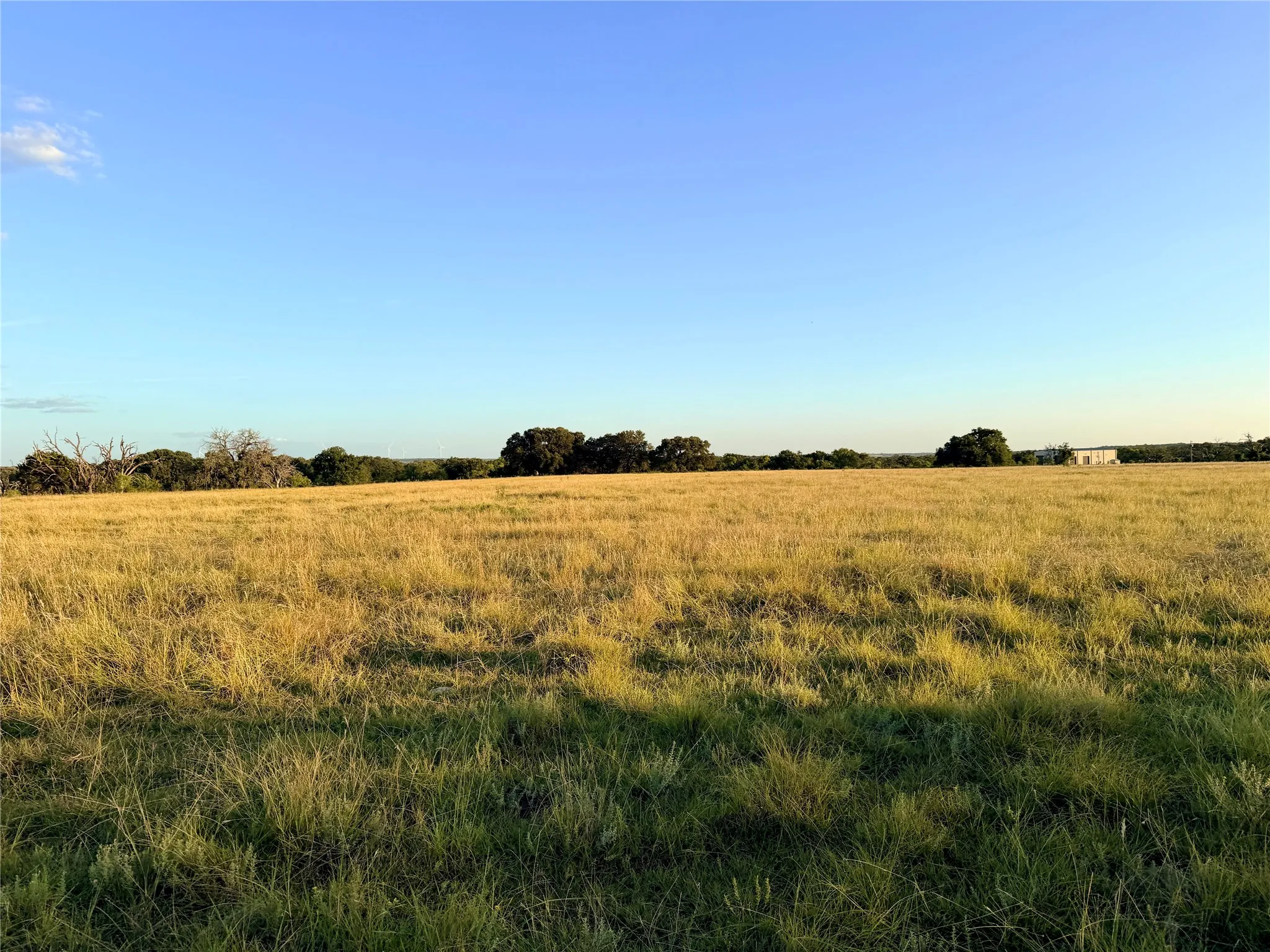 Unimproved Land For Sale in Mills County , 130 County Road 120, Goldthwaite, Texas 76844, 0, 0, Garage spaces, 0 Sqft, built in 0, Price $433,200, mls#21345159, Real Estate Agent in Goldthwaite, Homes For Sale in Mills county, Homes For Sale in Goldthwaite, Realtor in Goldthwaite Texas, Real Estate Brokerage Independent Realty Texas, Luminita Cordes Realtor