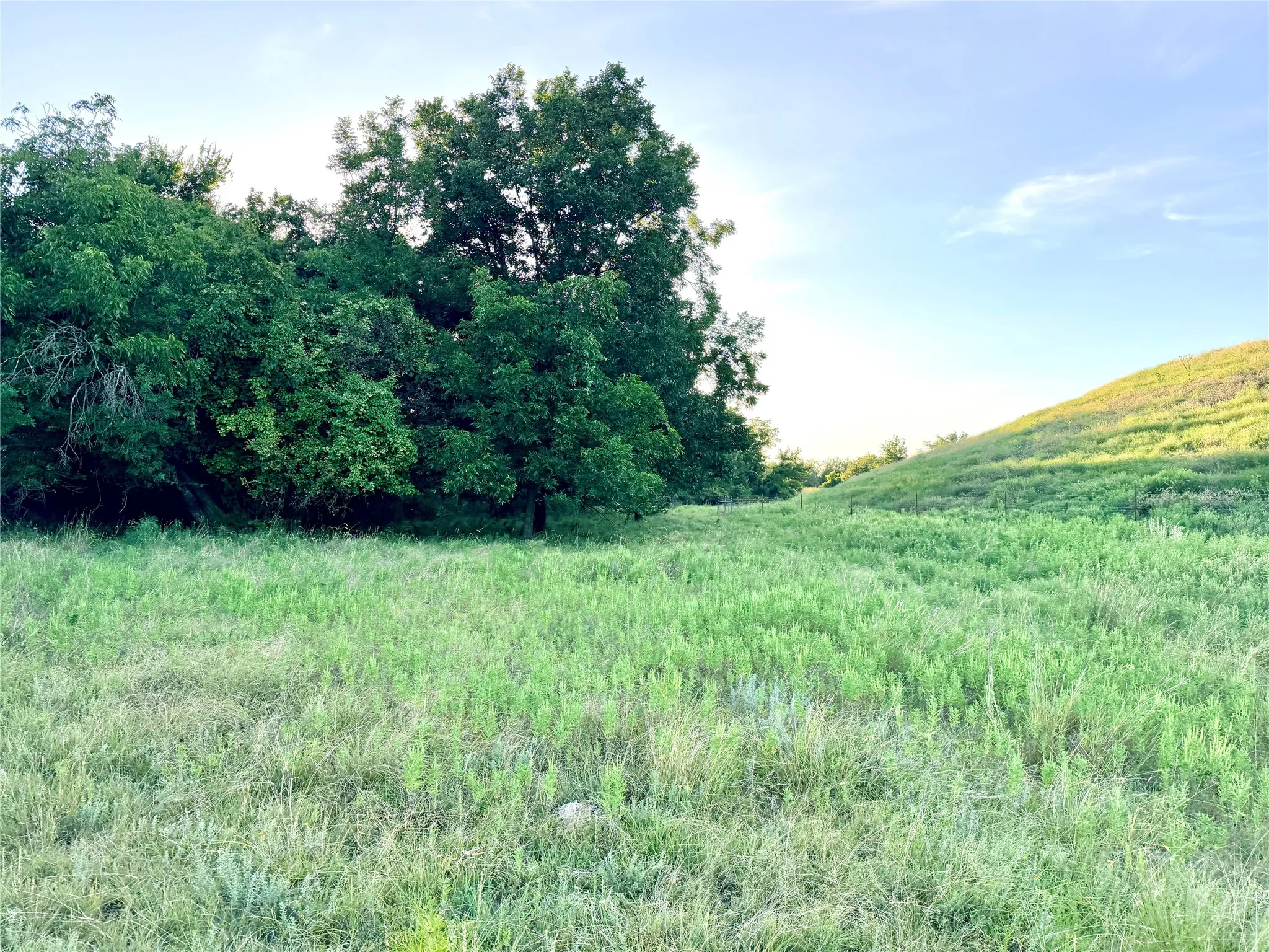 Unimproved Land For Sale in Mills County , 130 County Road 120, Goldthwaite, Texas 76844, 0, 0, Garage spaces, 0 Sqft, built in 0, Price $433,200, mls#21345159, Real Estate Agent in Goldthwaite, Homes For Sale in Mills county, Homes For Sale in Goldthwaite, Realtor in Goldthwaite Texas, Real Estate Brokerage Independent Realty Texas, Luminita Cordes Realtor