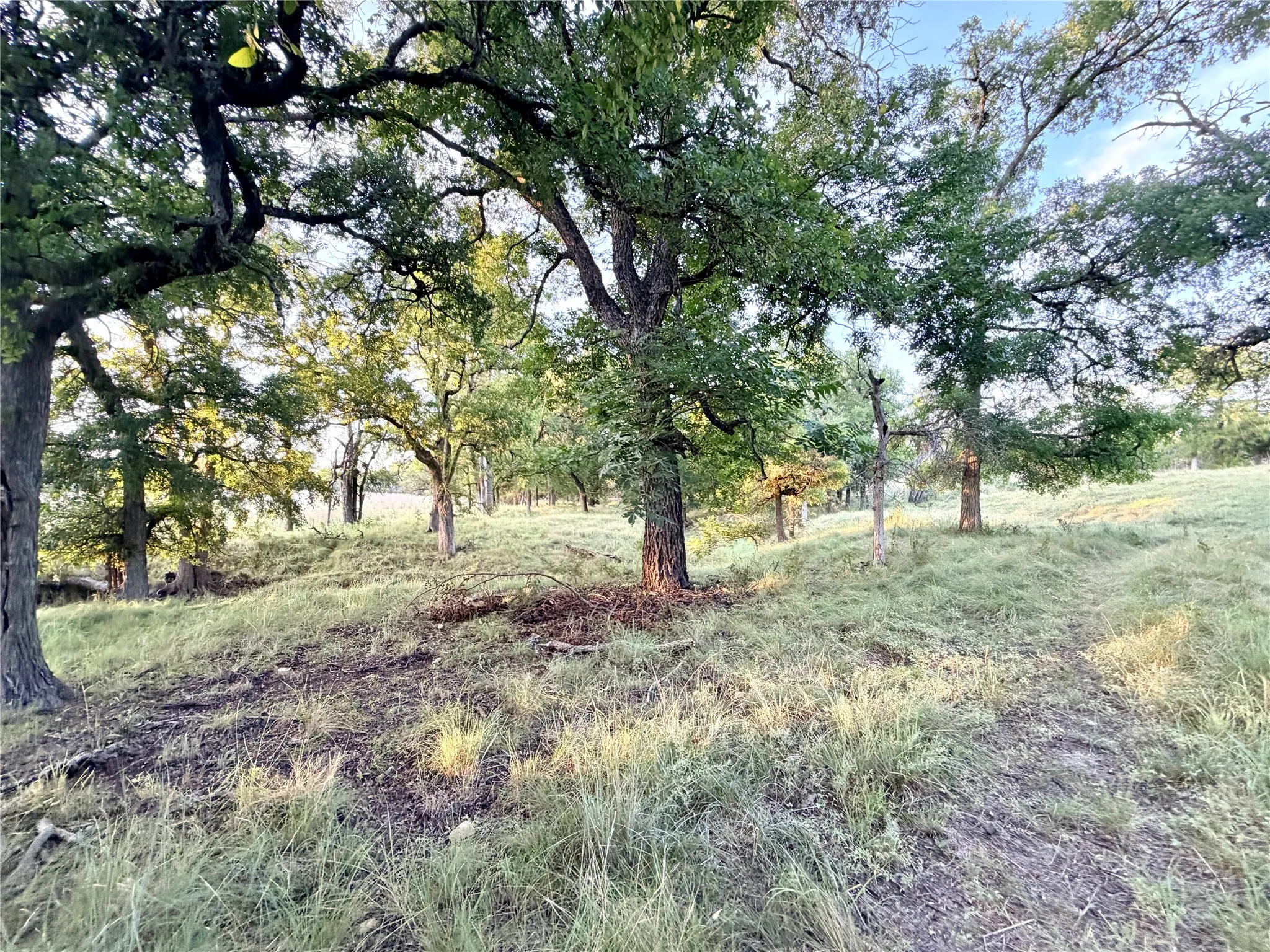 Unimproved Land For Sale in Mills County , 130 County Road 120, Goldthwaite, Texas 76844, 0, 0, Garage spaces, 0 Sqft, built in 0, Price $433,200, mls#21345159, Real Estate Agent in Goldthwaite, Homes For Sale in Mills county, Homes For Sale in Goldthwaite, Realtor in Goldthwaite Texas, Real Estate Brokerage Independent Realty Texas, Luminita Cordes Realtor
