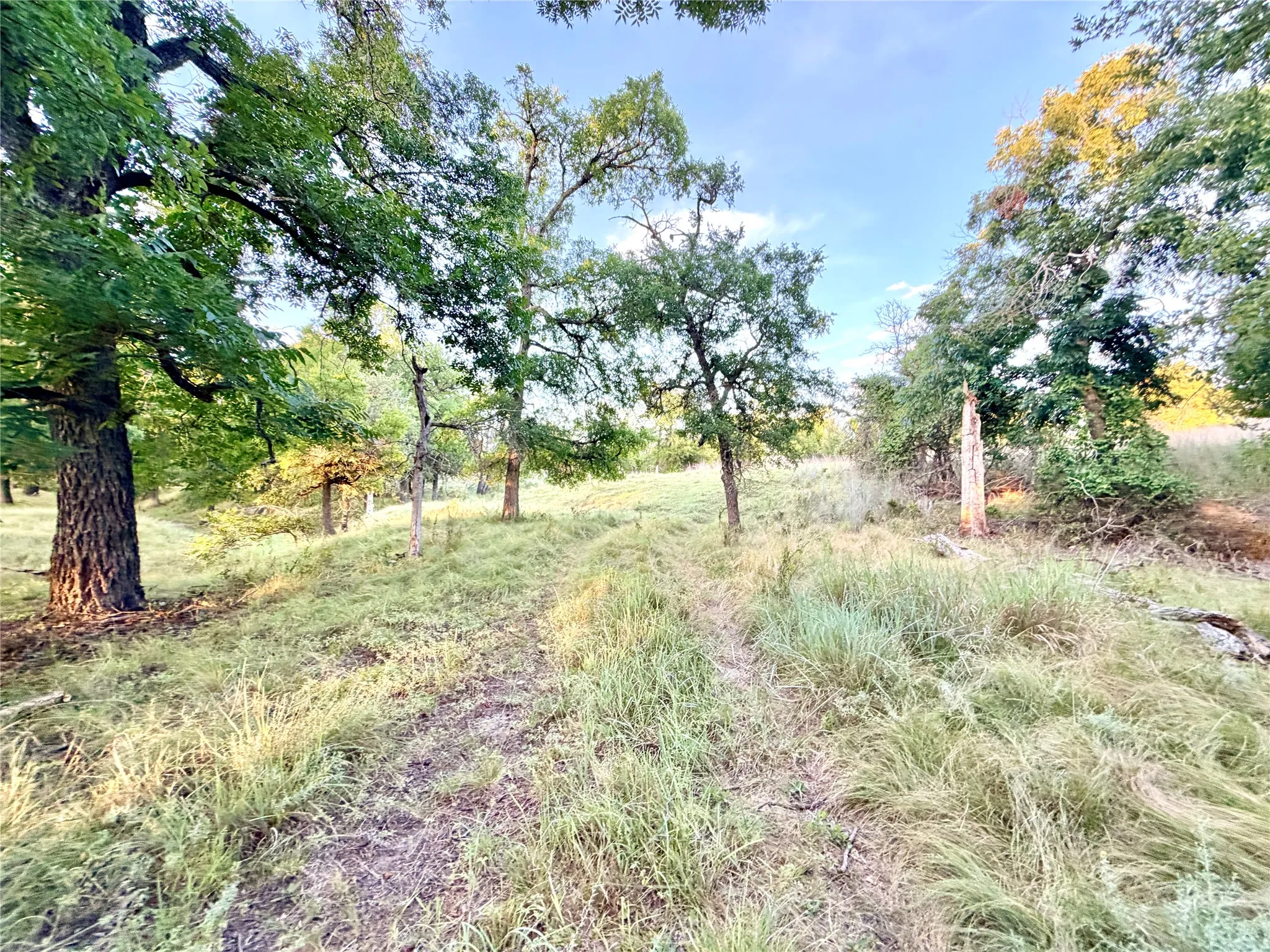 Unimproved Land For Sale in Mills County , 130 County Road 120, Goldthwaite, Texas 76844, 0, 0, Garage spaces, 0 Sqft, built in 0, Price $433,200, mls#21345159, Real Estate Agent in Goldthwaite, Homes For Sale in Mills county, Homes For Sale in Goldthwaite, Realtor in Goldthwaite Texas, Real Estate Brokerage Independent Realty Texas, Luminita Cordes Realtor