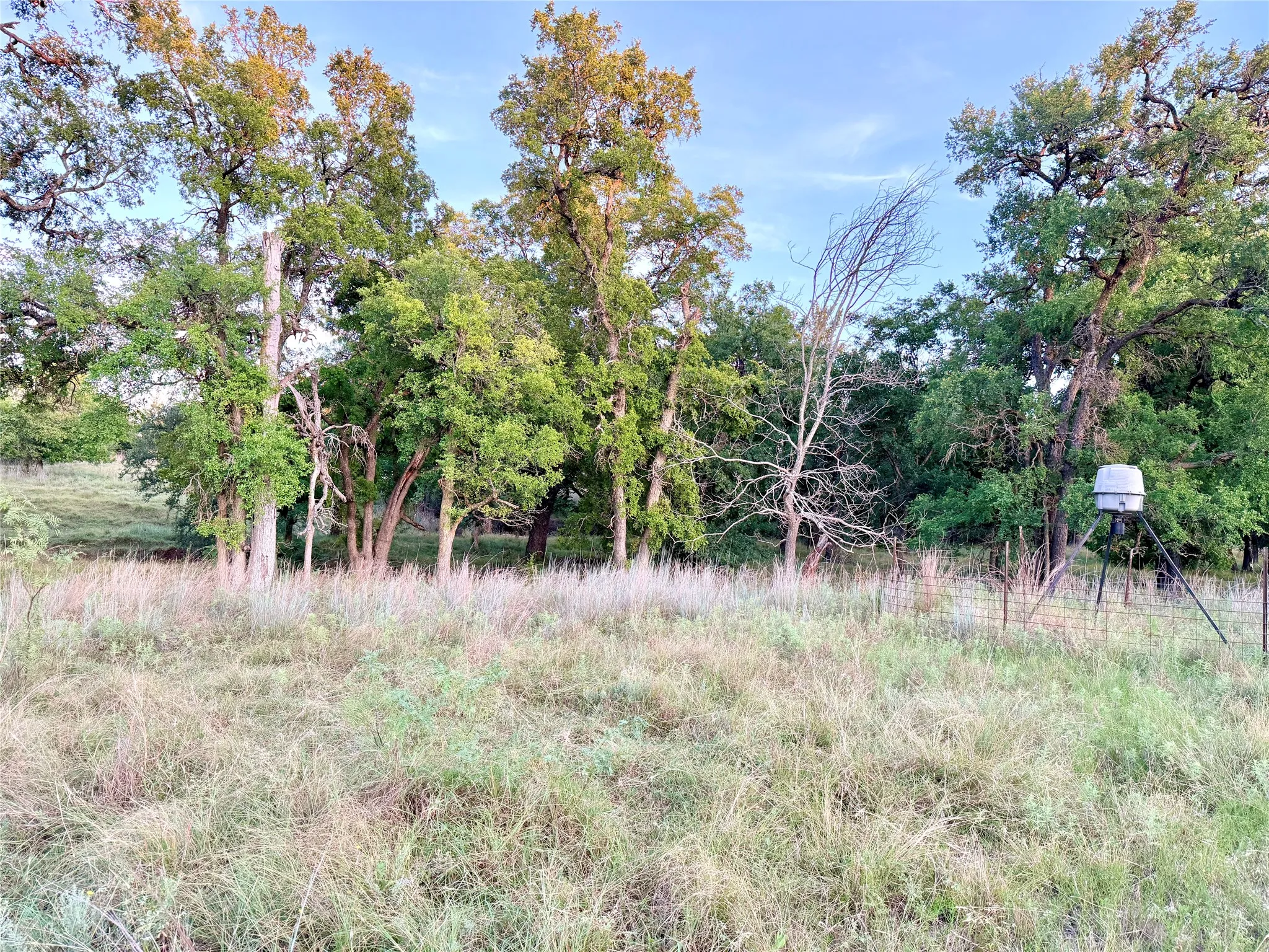 Unimproved Land For Sale in Mills County , 130 County Road 120, Goldthwaite, Texas 76844, 0, 0, Garage spaces, 0 Sqft, built in 0, Price $433,200, mls#21345159, Real Estate Agent in Goldthwaite, Homes For Sale in Mills county, Homes For Sale in Goldthwaite, Realtor in Goldthwaite Texas, Real Estate Brokerage Independent Realty Texas, Luminita Cordes Realtor