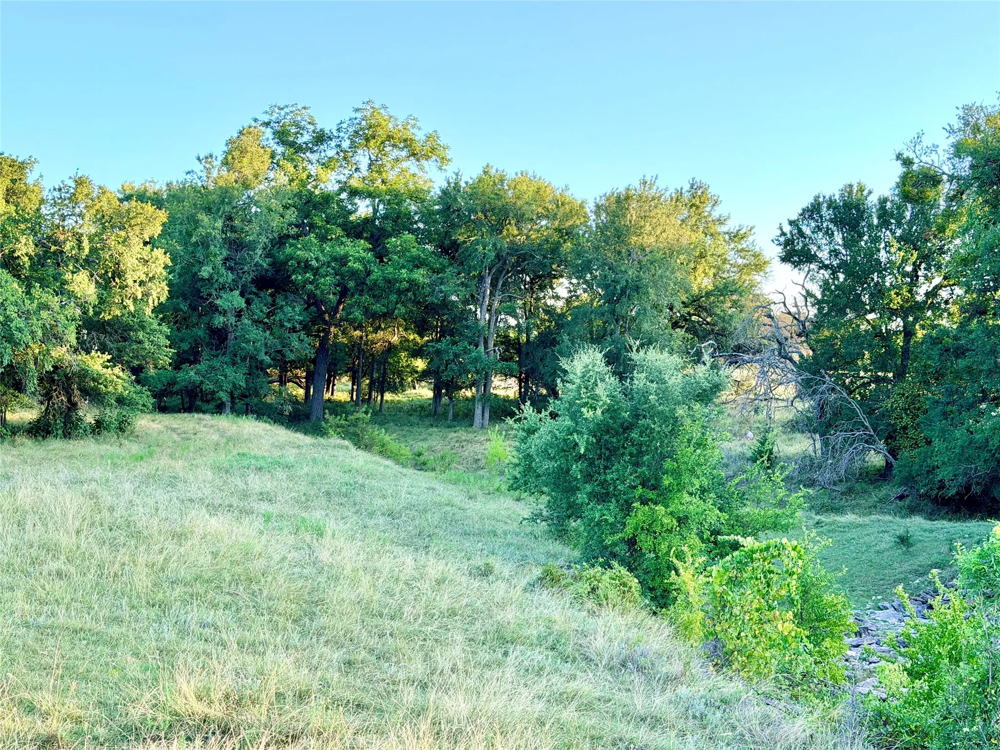 Unimproved Land For Sale in Mills County , 130 County Road 120, Goldthwaite, Texas 76844, 0, 0, Garage spaces, 0 Sqft, built in 0, Price $433,200, mls#21345159, Real Estate Agent in Goldthwaite, Homes For Sale in Mills county, Homes For Sale in Goldthwaite, Realtor in Goldthwaite Texas, Real Estate Brokerage Independent Realty Texas, Luminita Cordes Realtor