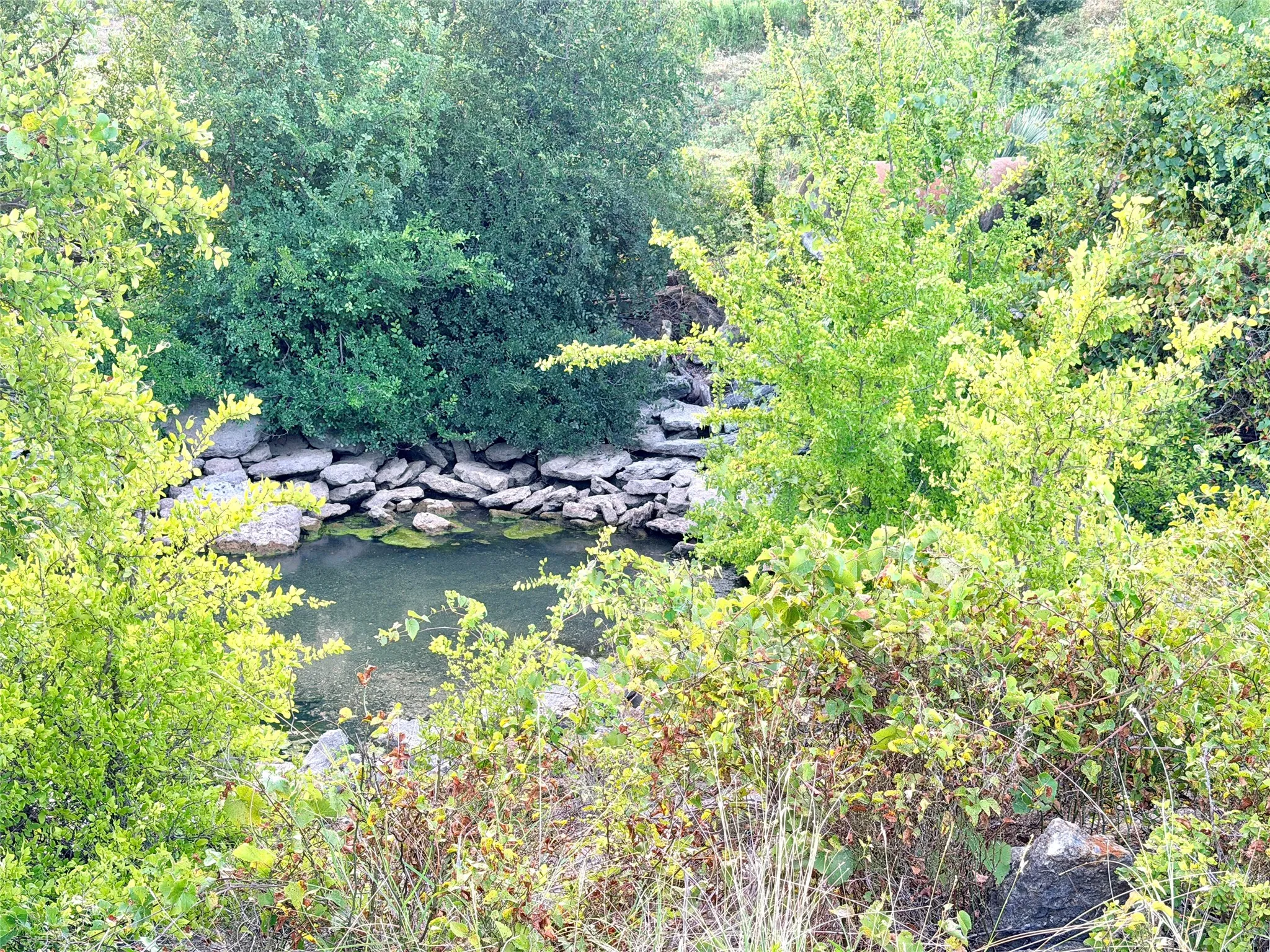 Unimproved Land For Sale in Mills County , 130 County Road 120, Goldthwaite, Texas 76844, 0, 0, Garage spaces, 0 Sqft, built in 0, Price $433,200, mls#21345159, Real Estate Agent in Goldthwaite, Homes For Sale in Mills county, Homes For Sale in Goldthwaite, Realtor in Goldthwaite Texas, Real Estate Brokerage Independent Realty Texas, Luminita Cordes Realtor