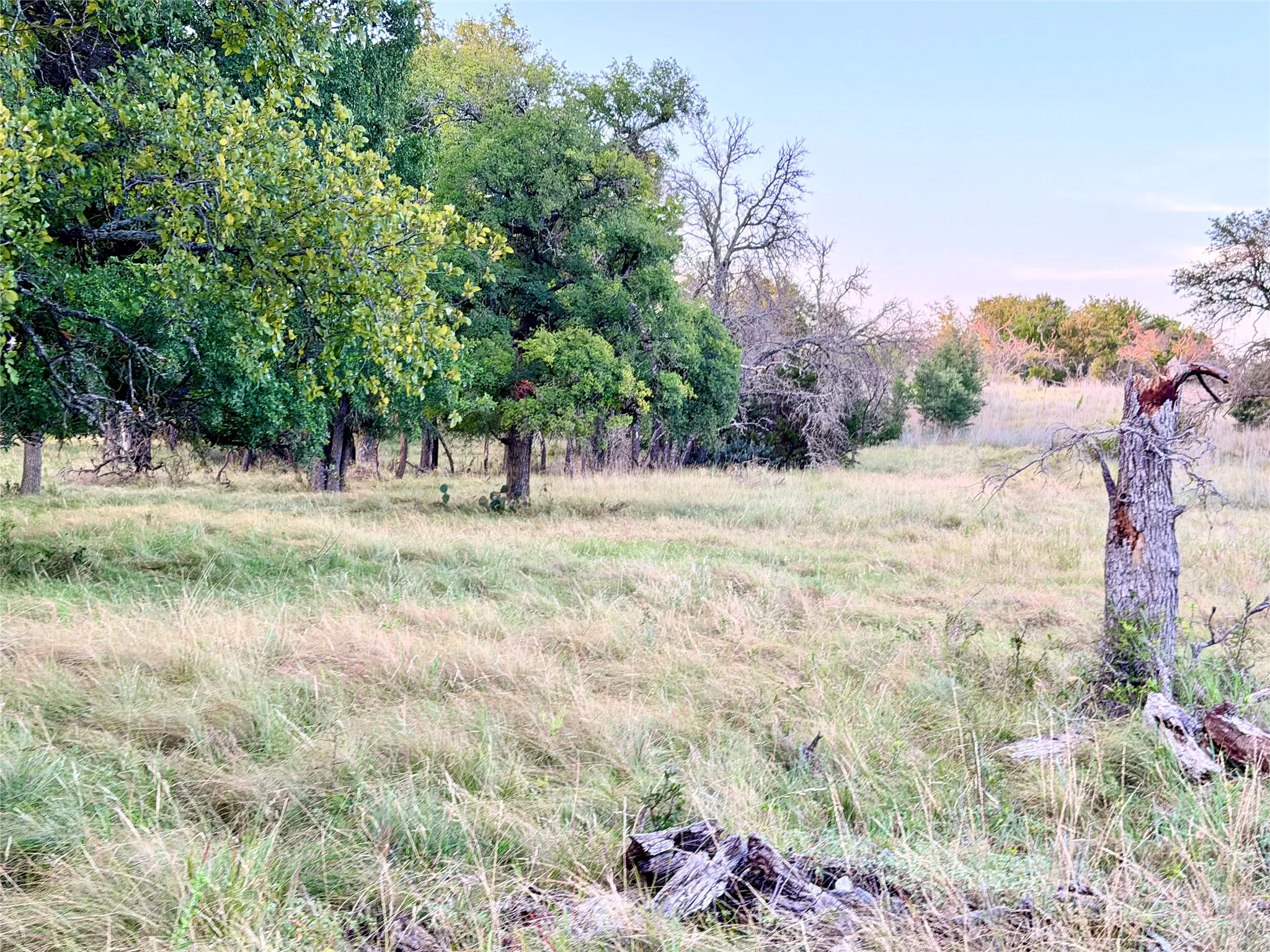 Unimproved Land For Sale in Mills County , 130 County Road 120, Goldthwaite, Texas 76844, 0, 0, Garage spaces, 0 Sqft, built in 0, Price $433,200, mls#21345159, Real Estate Agent in Goldthwaite, Homes For Sale in Mills county, Homes For Sale in Goldthwaite, Realtor in Goldthwaite Texas, Real Estate Brokerage Independent Realty Texas, Luminita Cordes Realtor